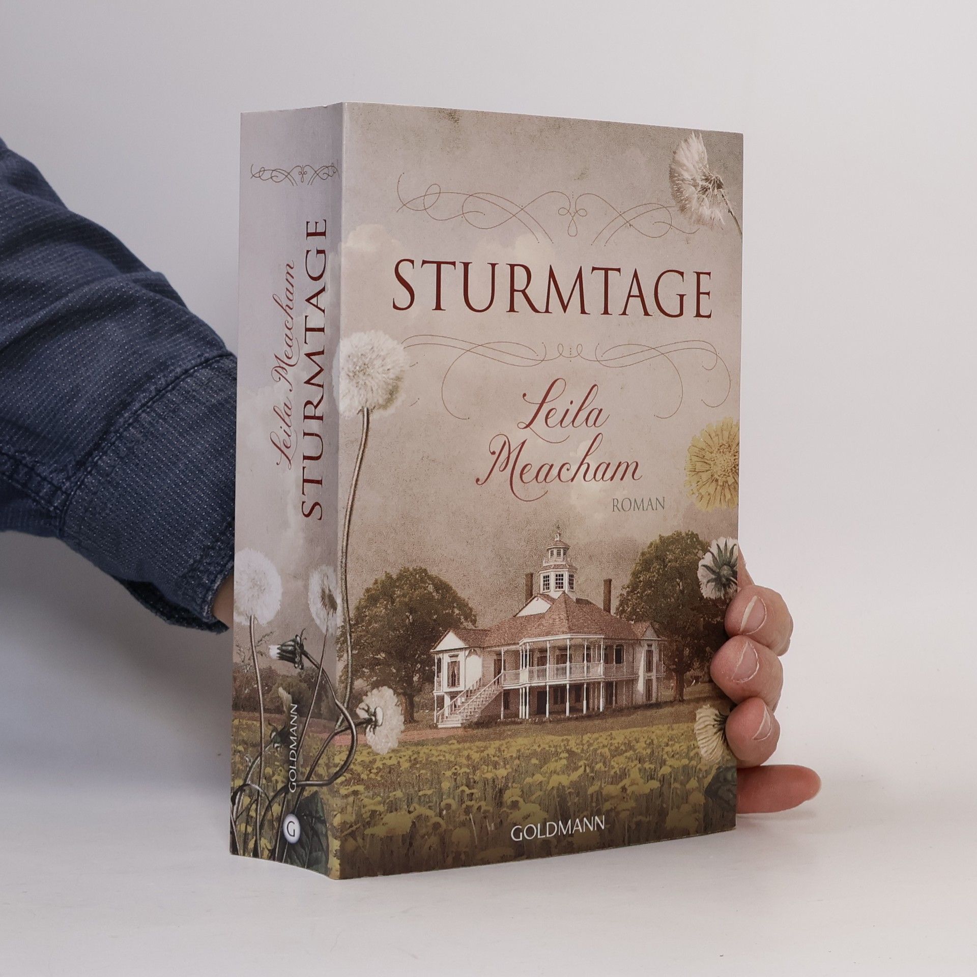 Leila Meacham Sturmtage