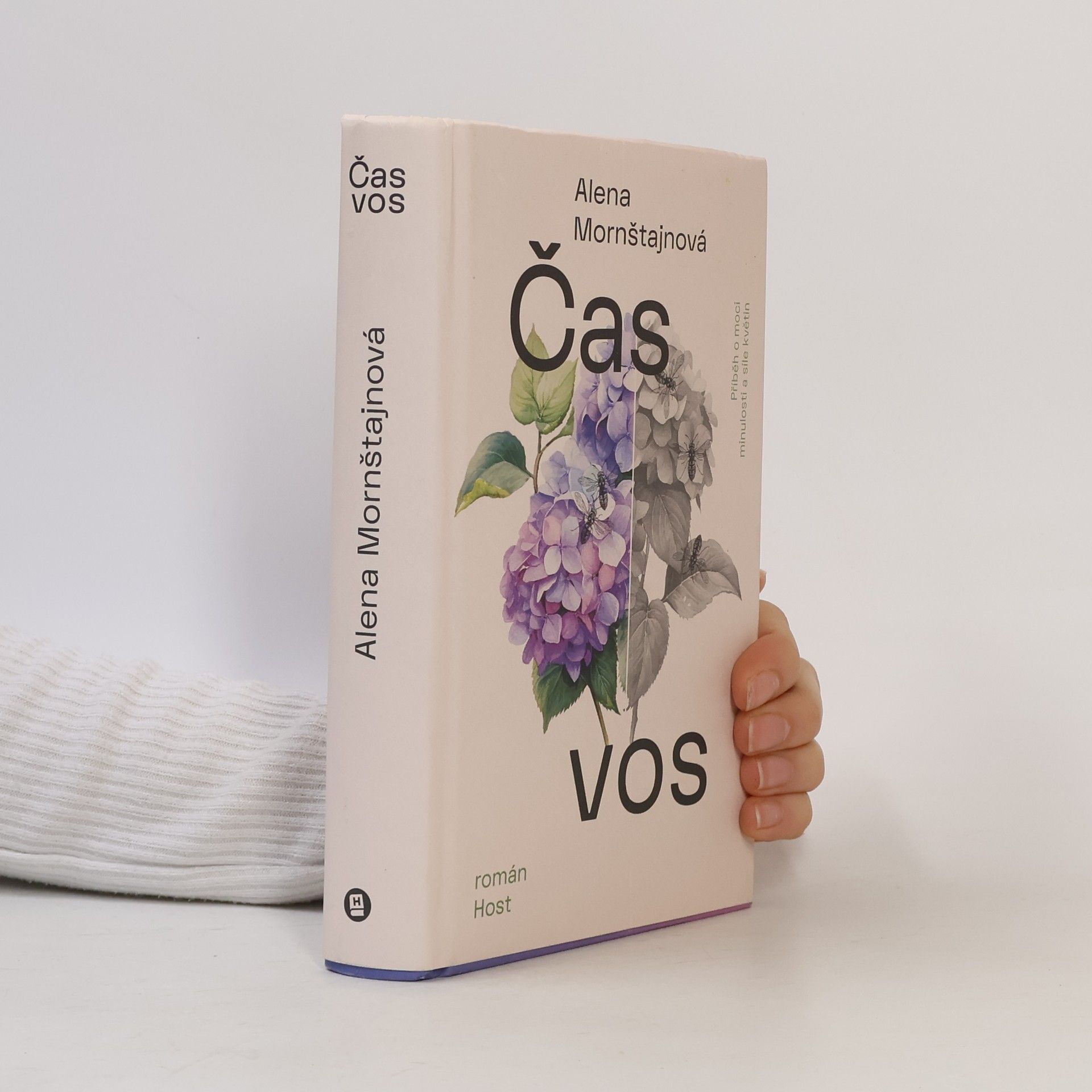 Alena Mornštajnová Čas vos
