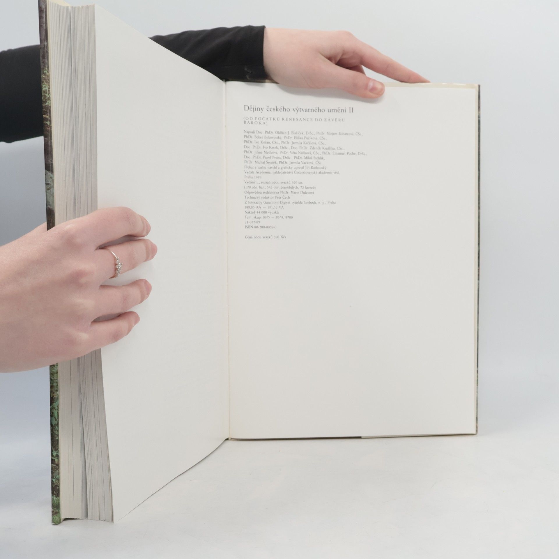 Various authors Dějiny českého výtvarného umění II/2