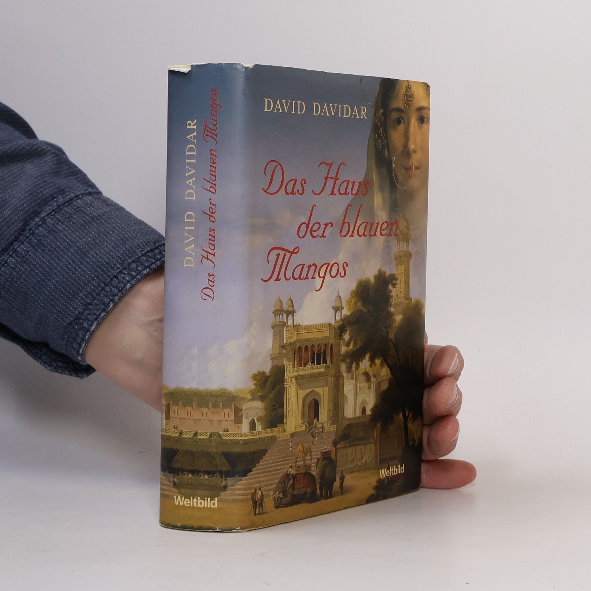 David Davidar Das Haus der blauen Mangos
