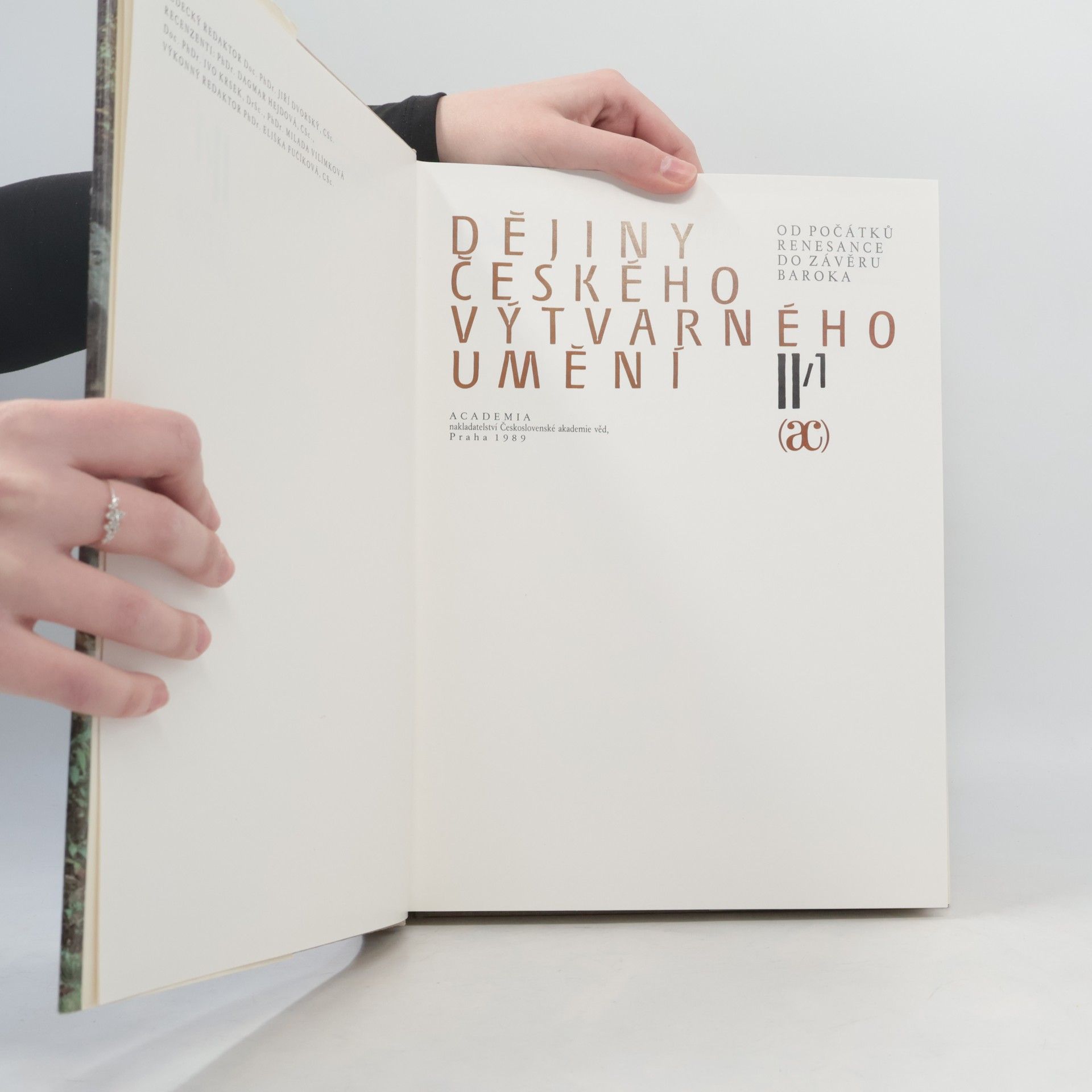 Various authors Dějiny českého výtvarného umění II/1