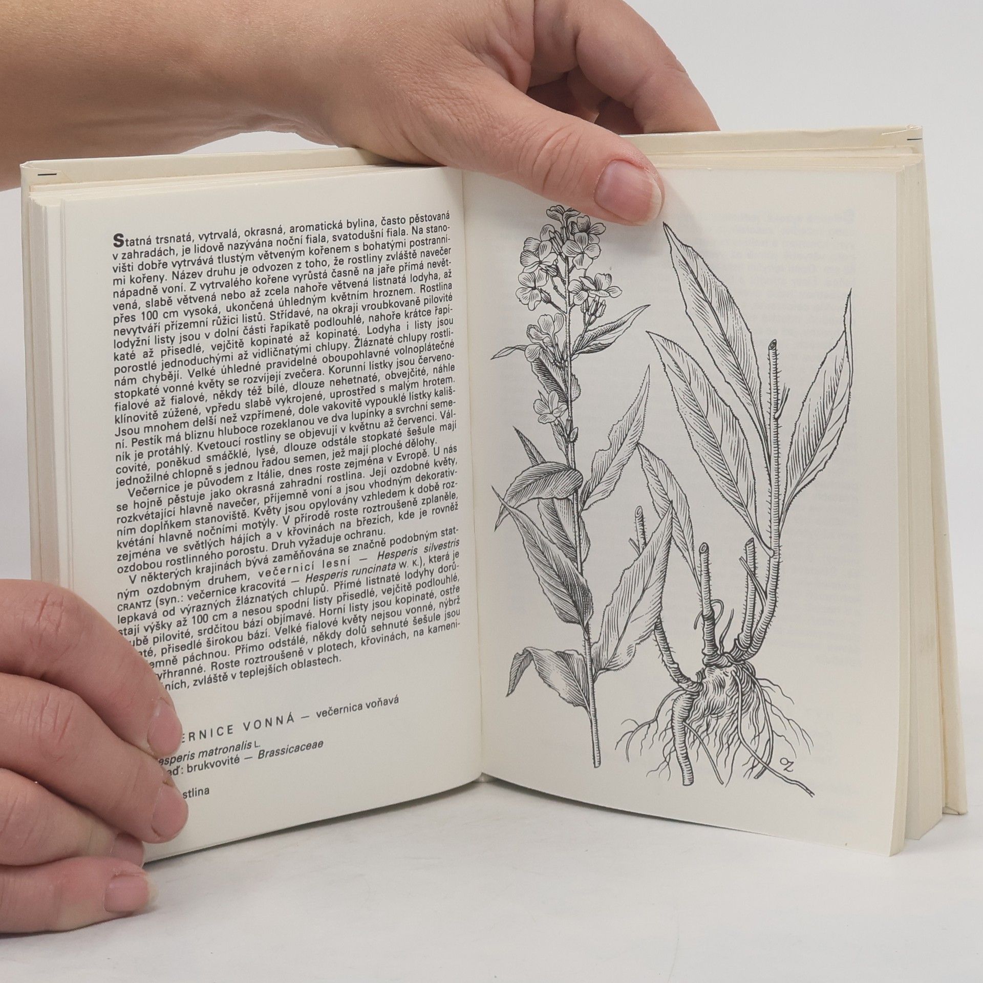 František Hron Rostliny strání, skal, křovin a lesů. Kapesní atlas