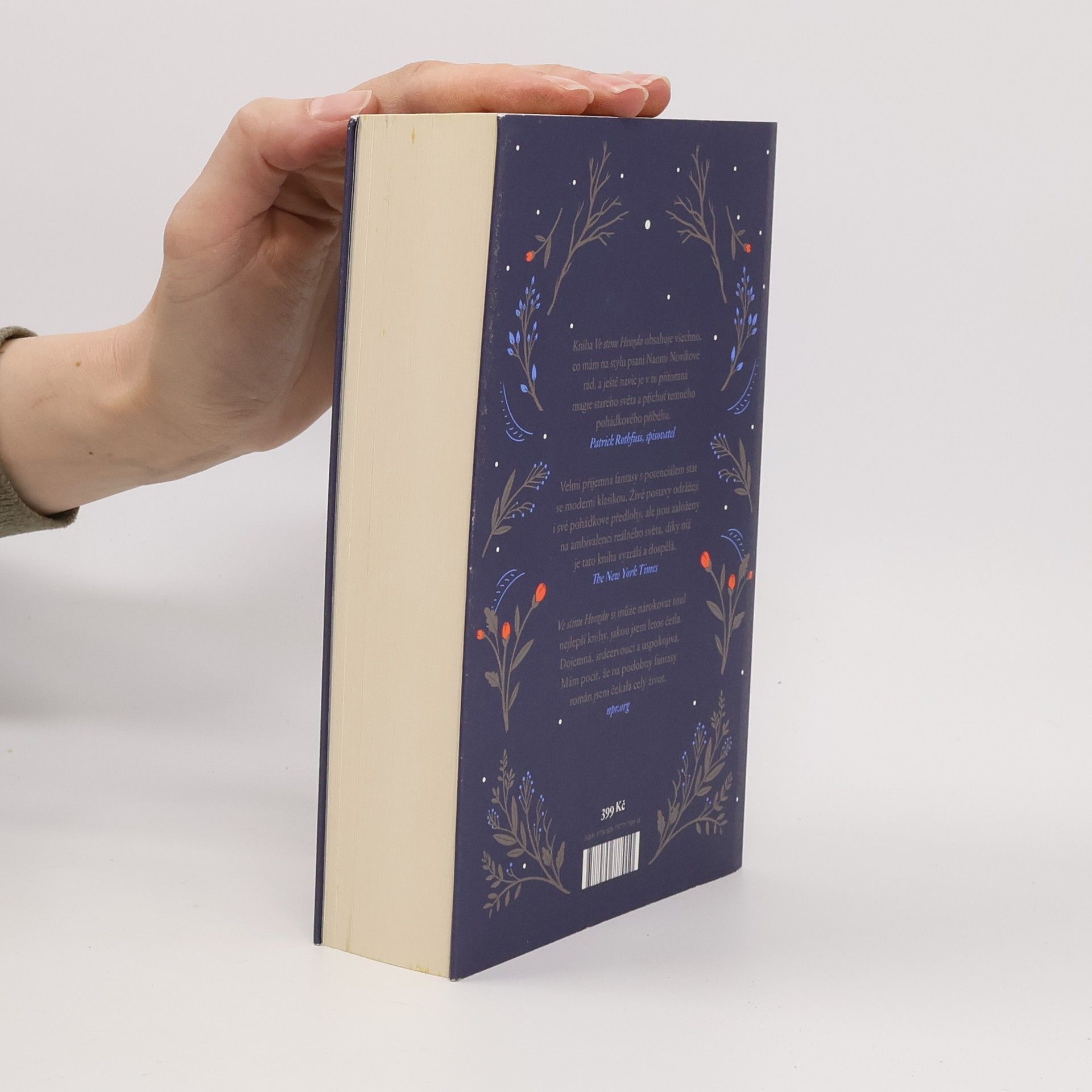 Naomi Novik Ve stínu Hvozdu