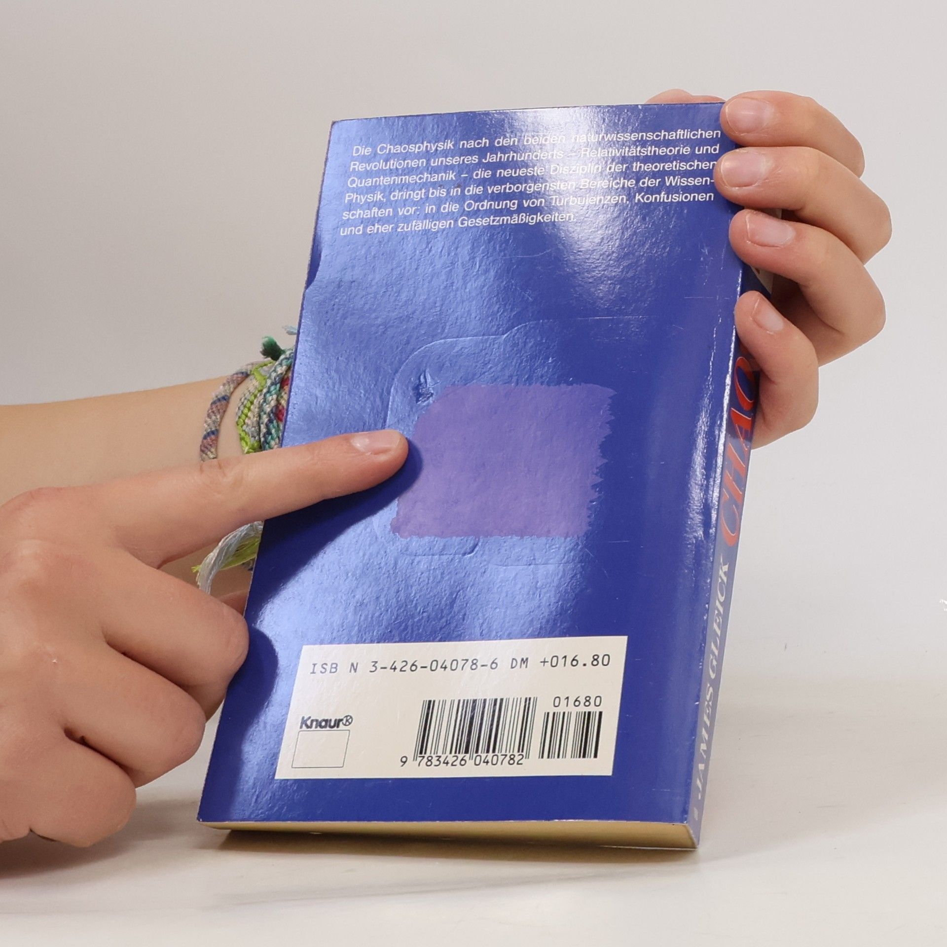 James Gleick Chaos - die Ordnung des Universums