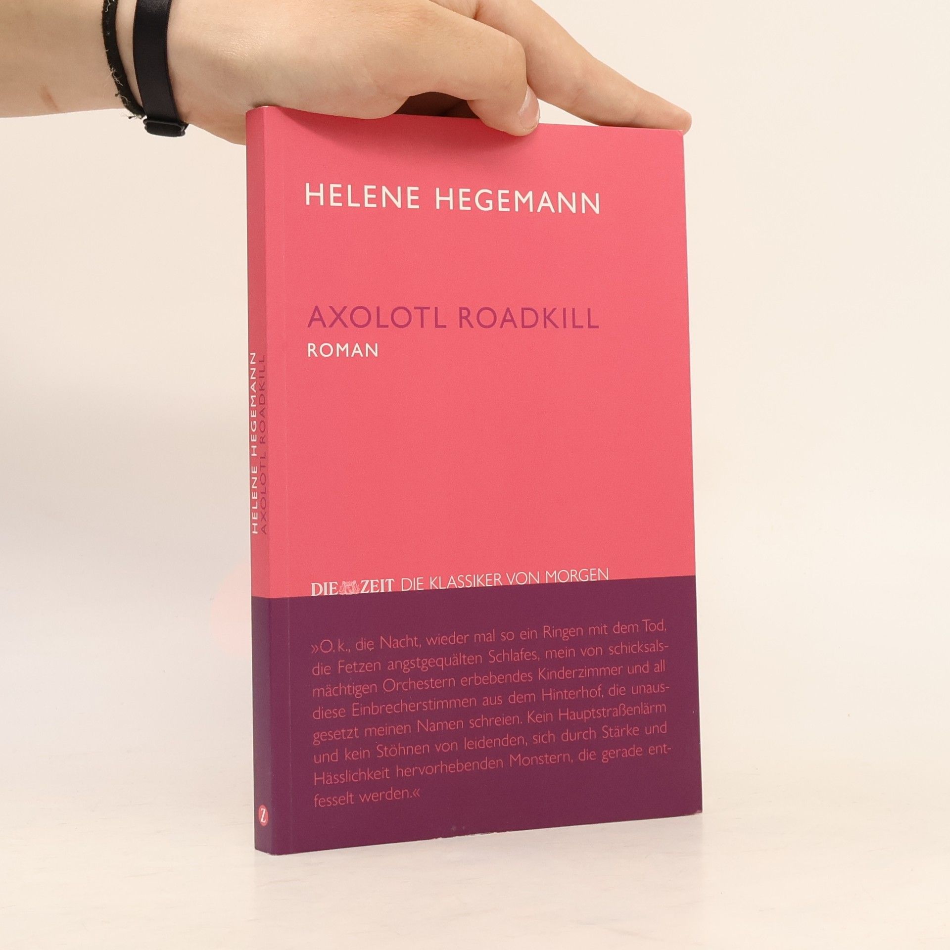 Helene Hegemann Axolotl Roadkill