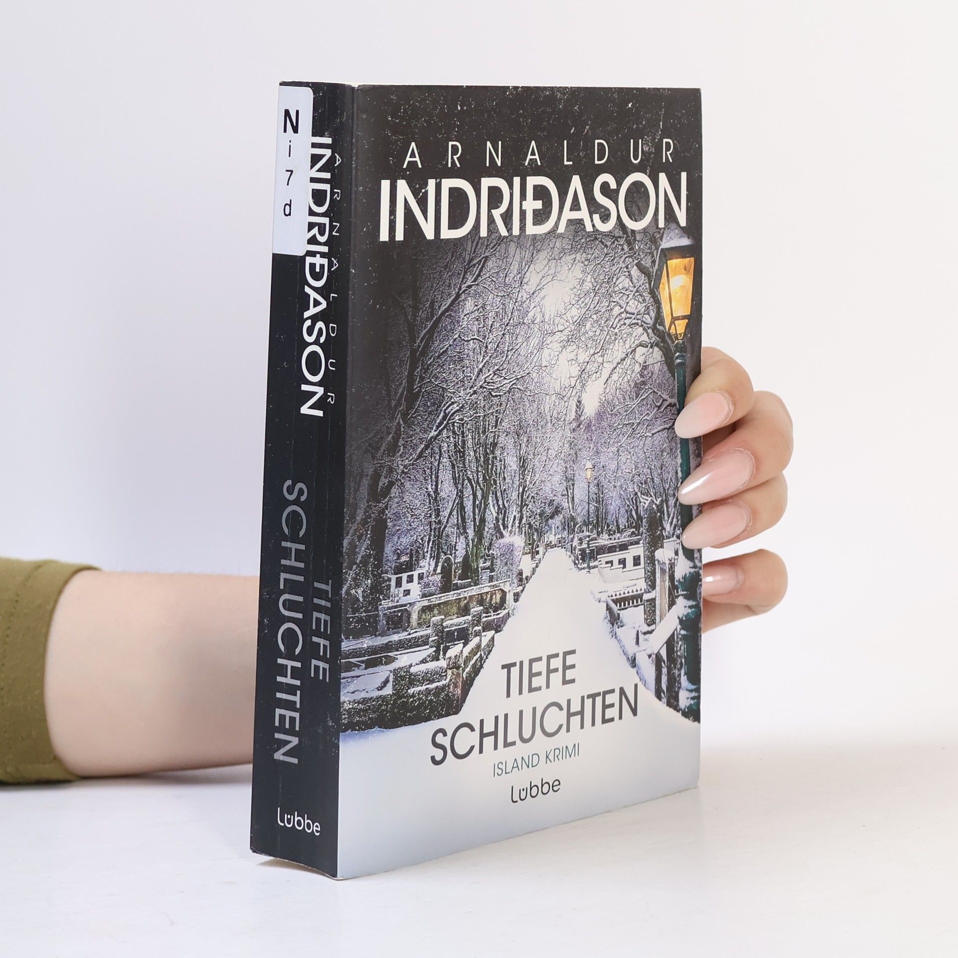 Arnaldur Indriðason Tiefe Schluchten