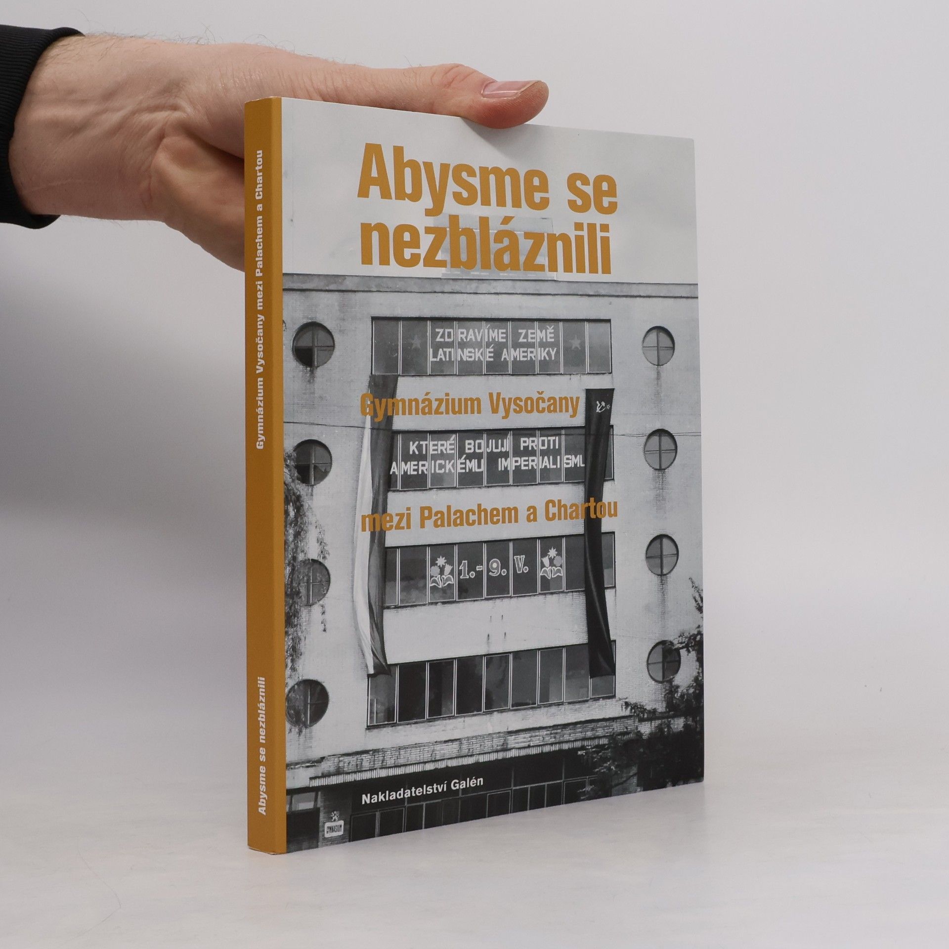 Abysme se nezbláznili : gymnázium Vysočany mezi Palachem a Chartou