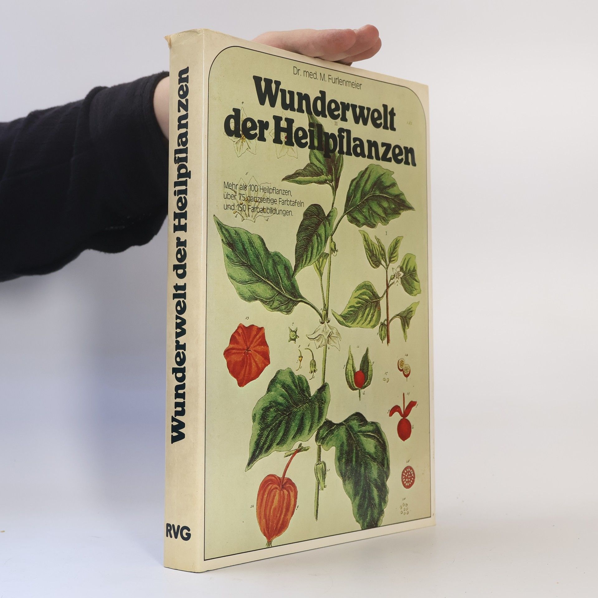 Martin Furlenmeier Wunderwelt der Heilpflanzen