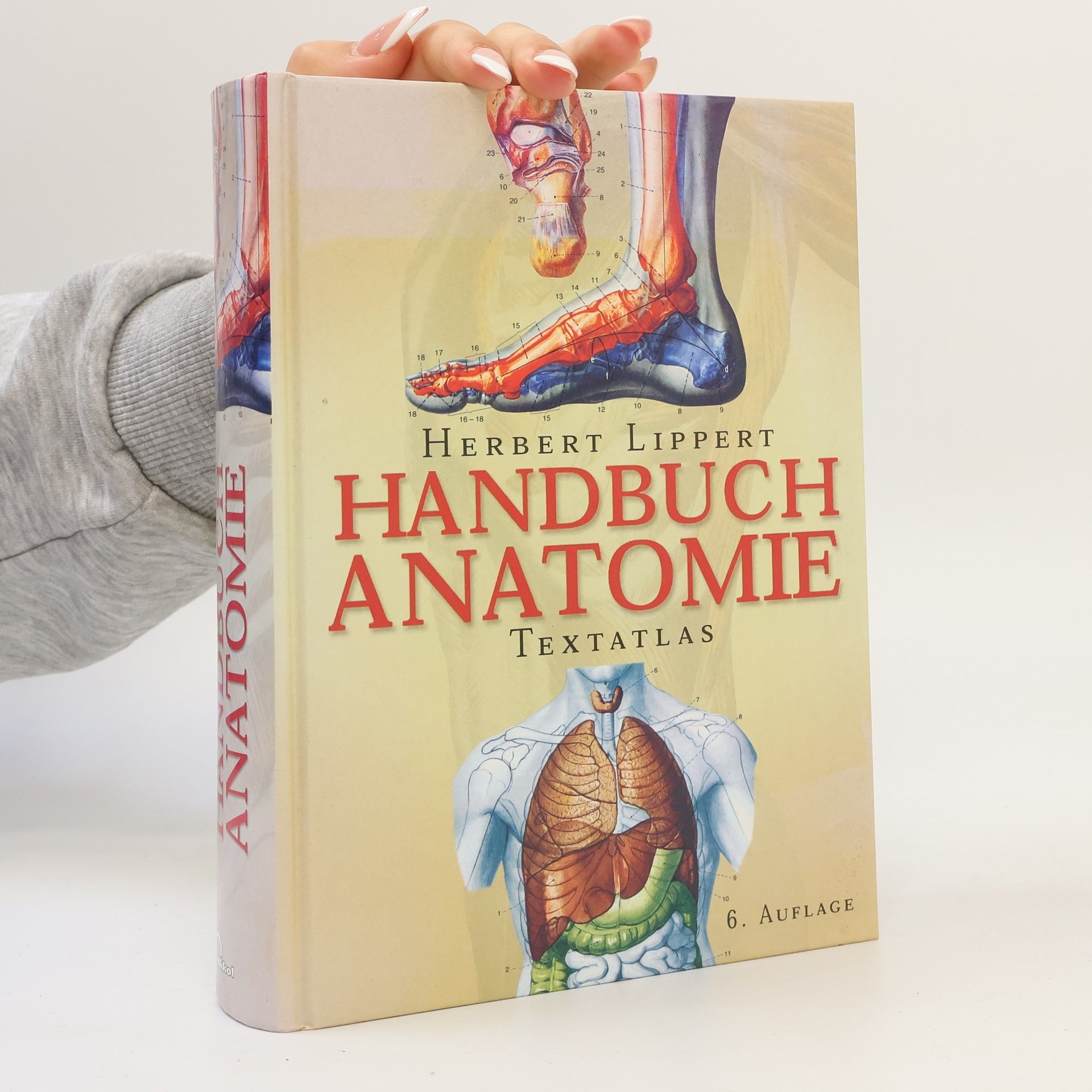 Herbert Lippert Handbuch Anatomie
