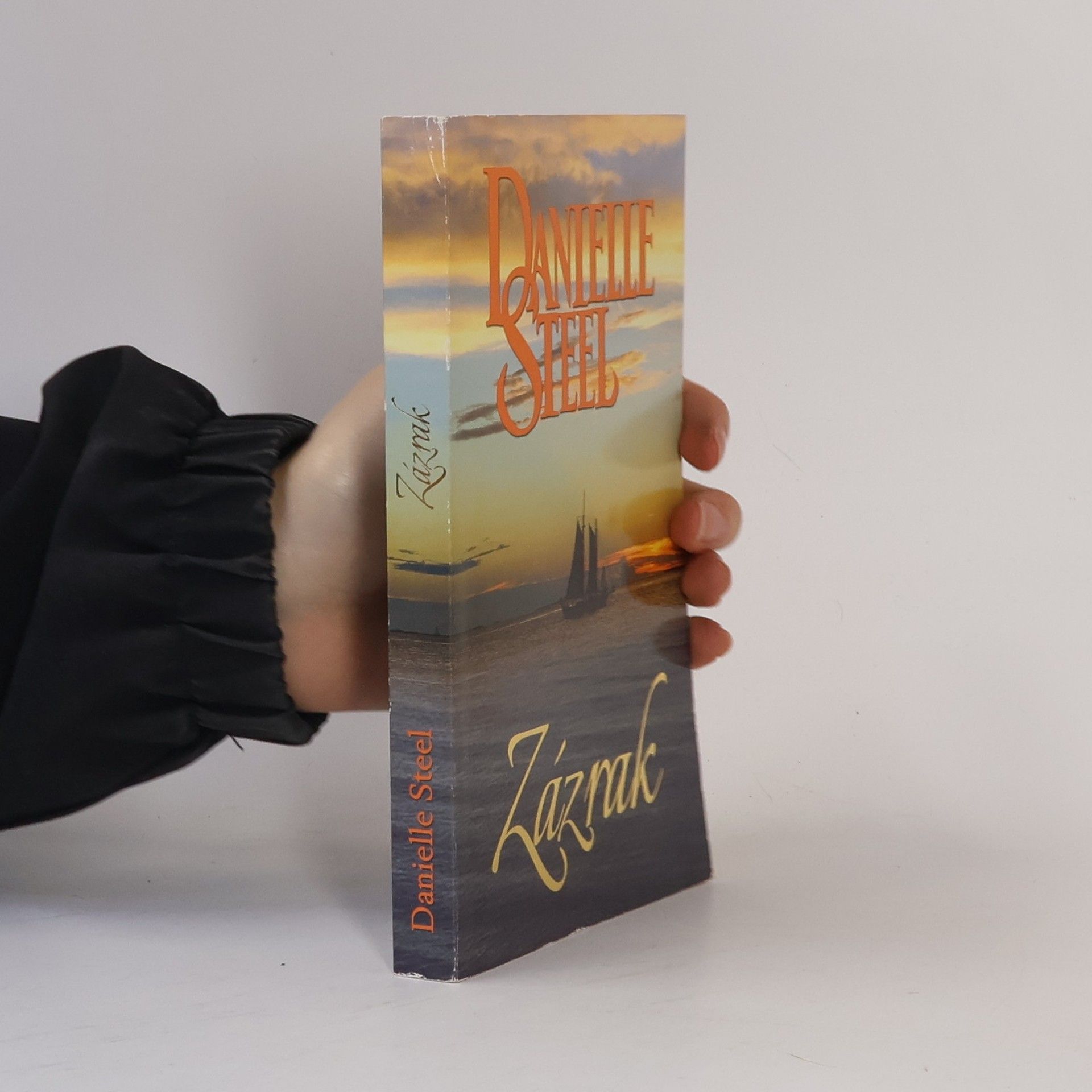 Danielle Steel Zázrak