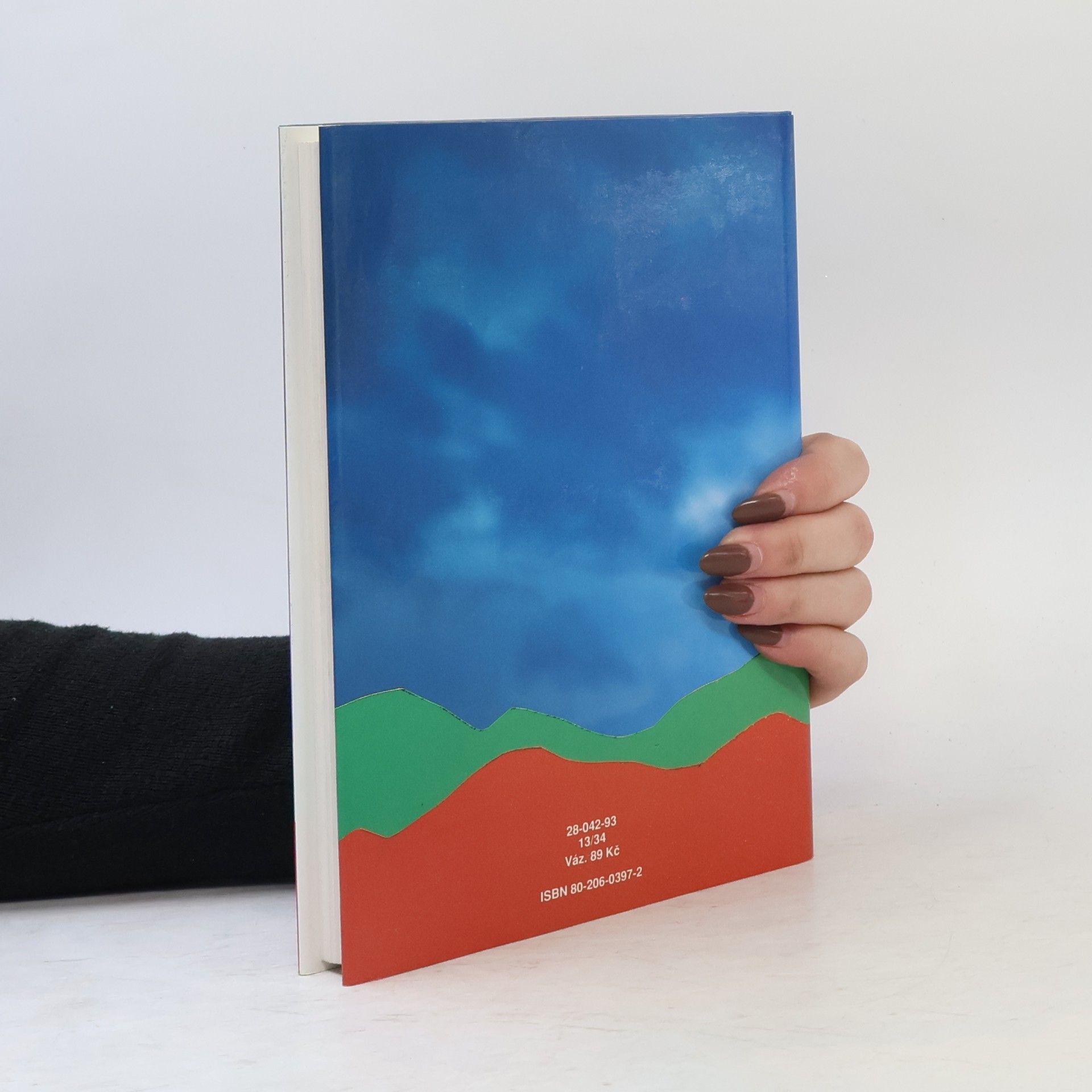 Emily Brontë Na Větrné hůrce