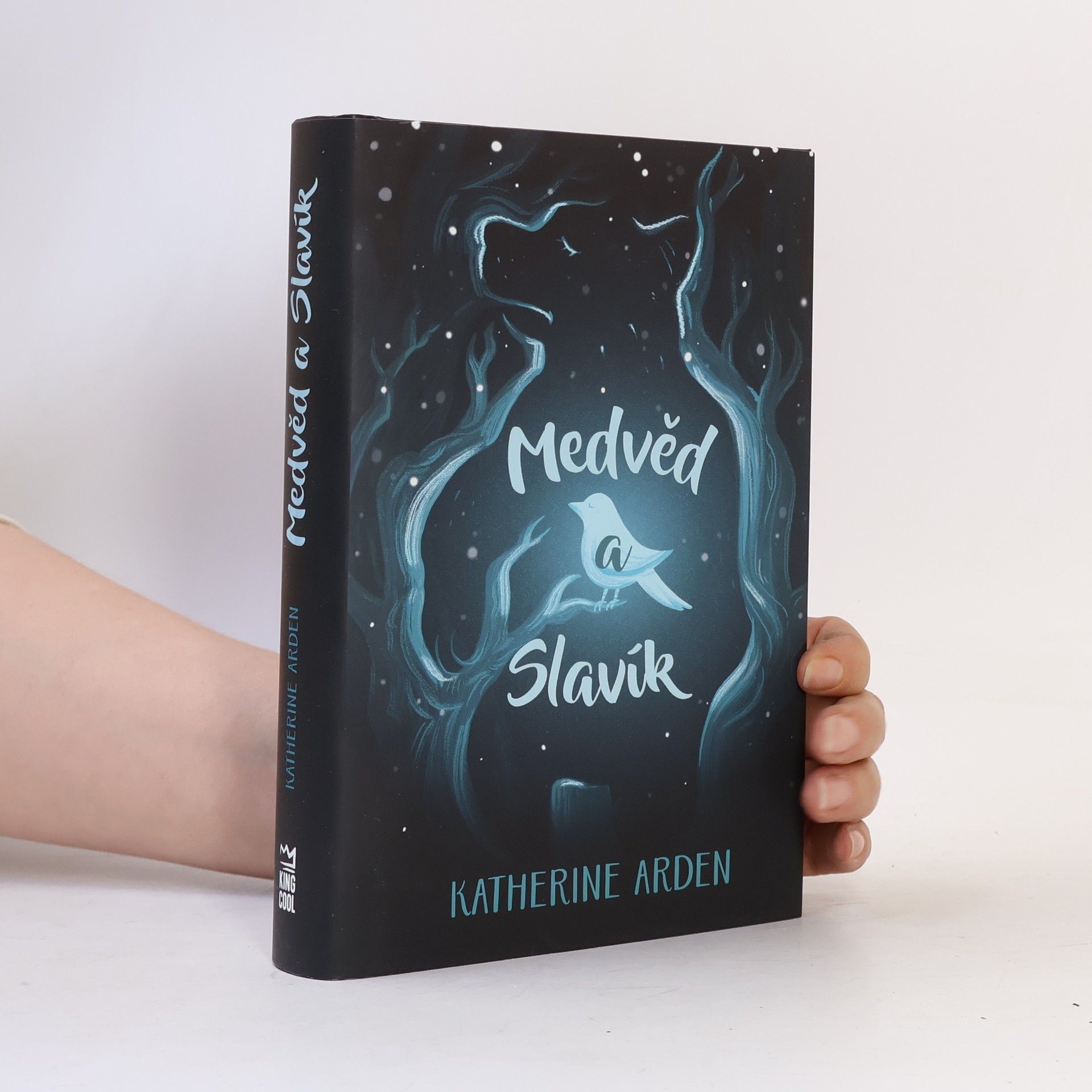 Katherine Arden Medvěd a Slavík