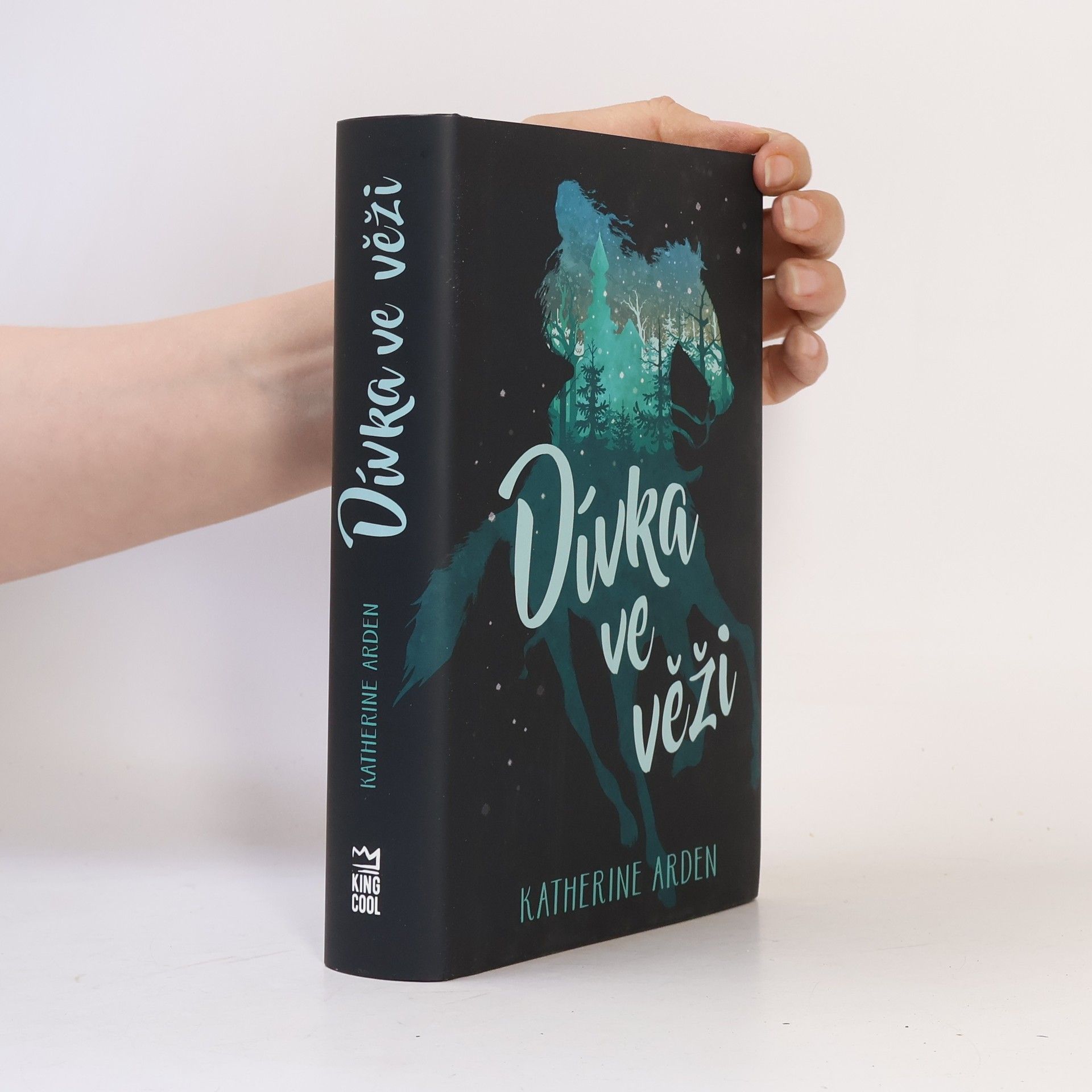 Katherine Arden Dívka ve věži