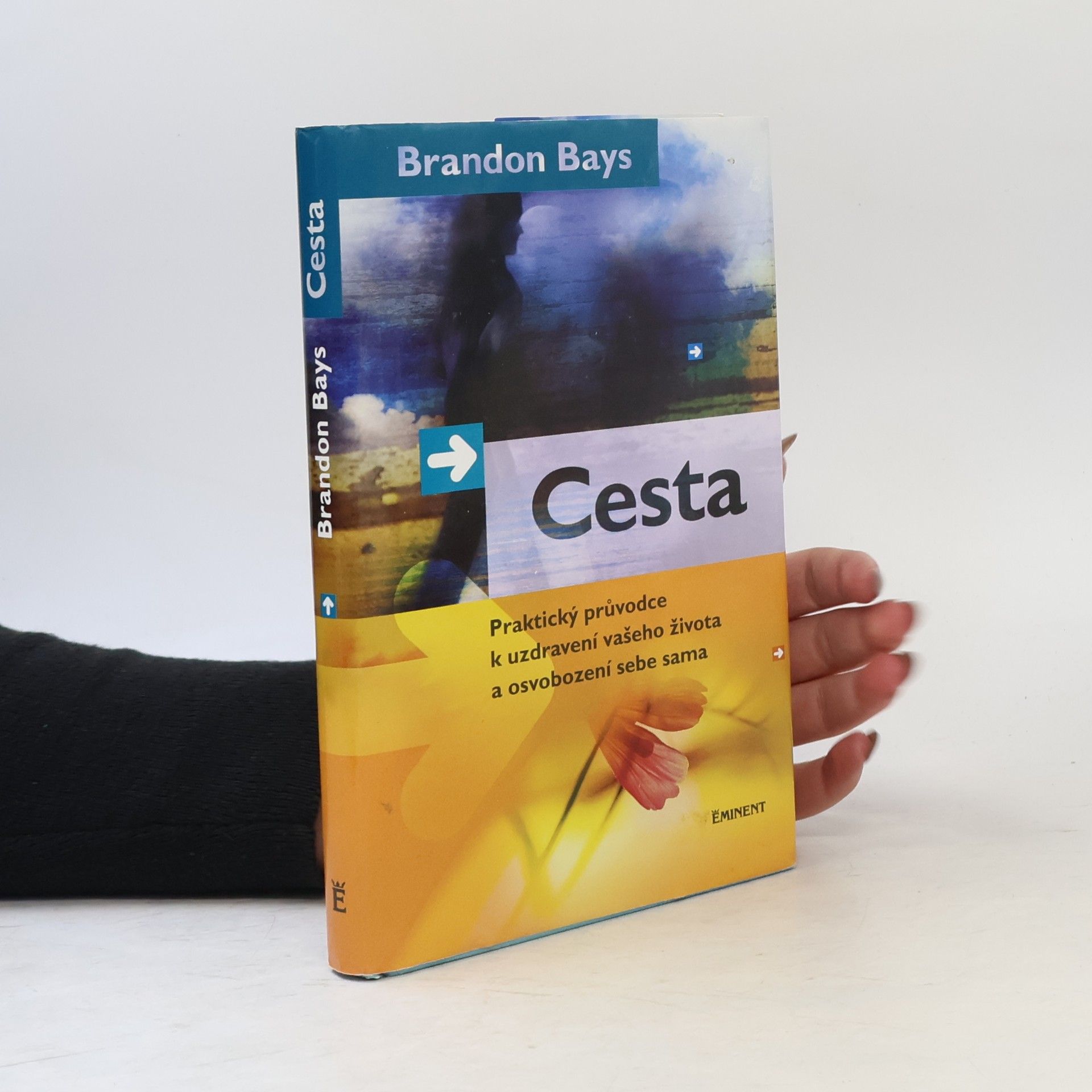 Brandon Bays Cesta