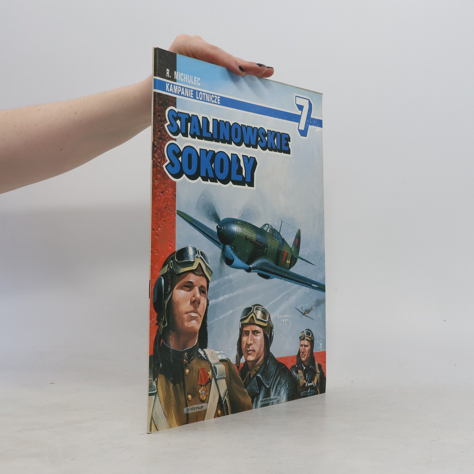 T. Wójcik Kampanie lotnicze - 7: Stalinowskie sokoły