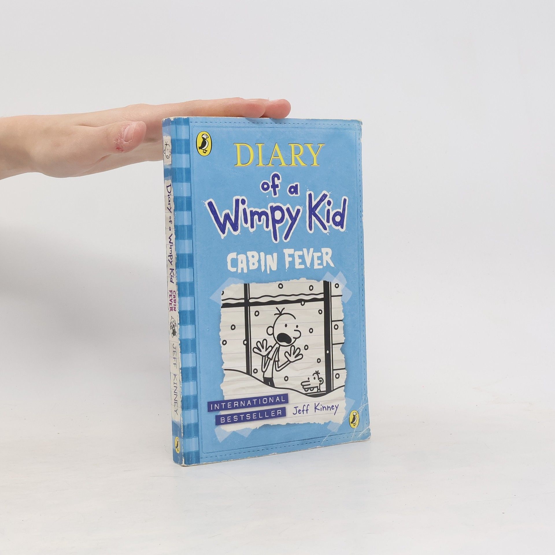 Jeff Kinney Diary of a Wimpy Kid. Cabin Fever
