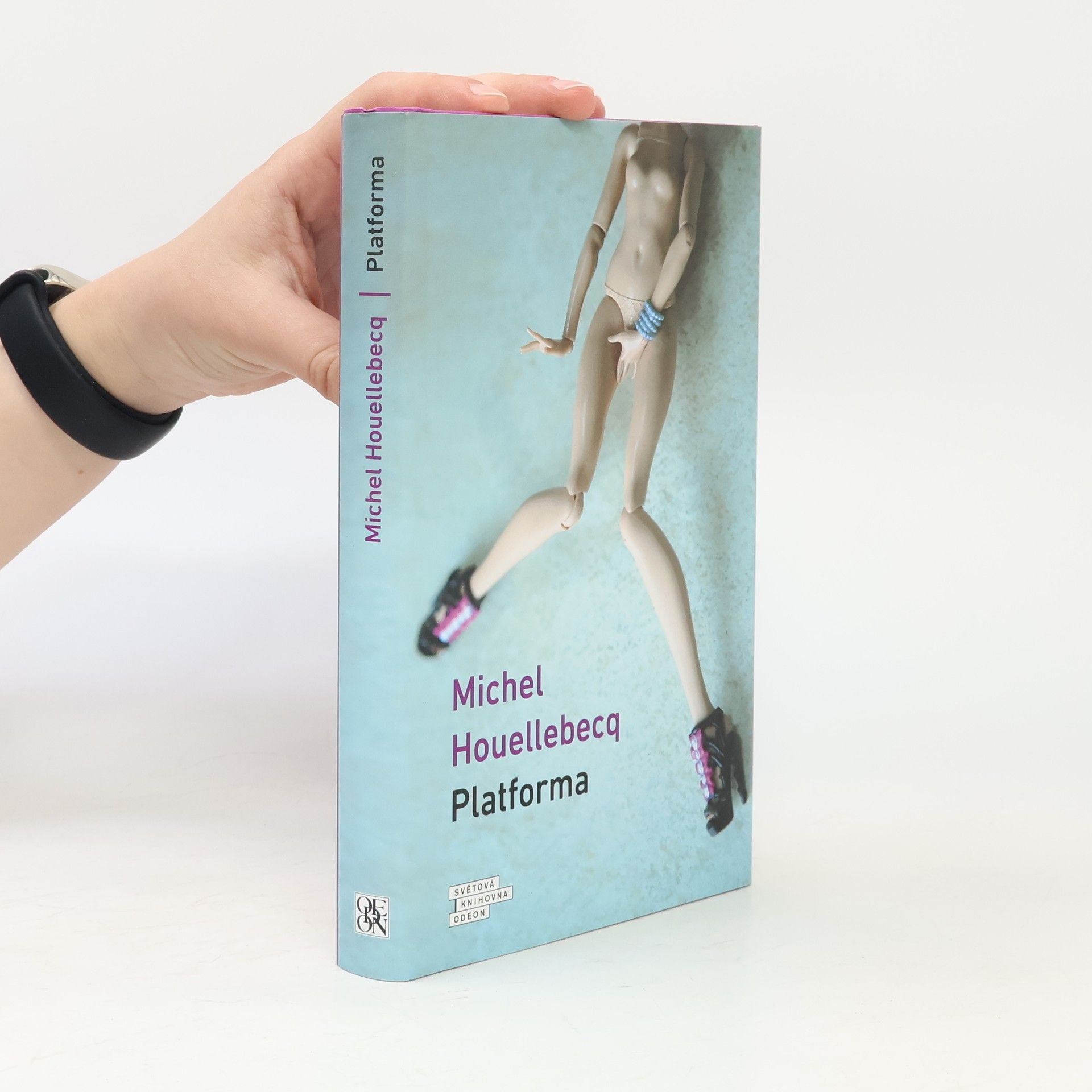 Michel Houellebecq Platforma