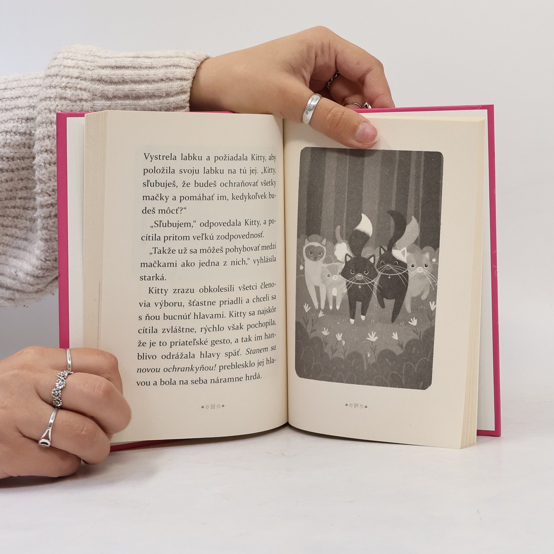 Ella Moonheart kitty zázračnica: bojazlivé mačiatko Murinka