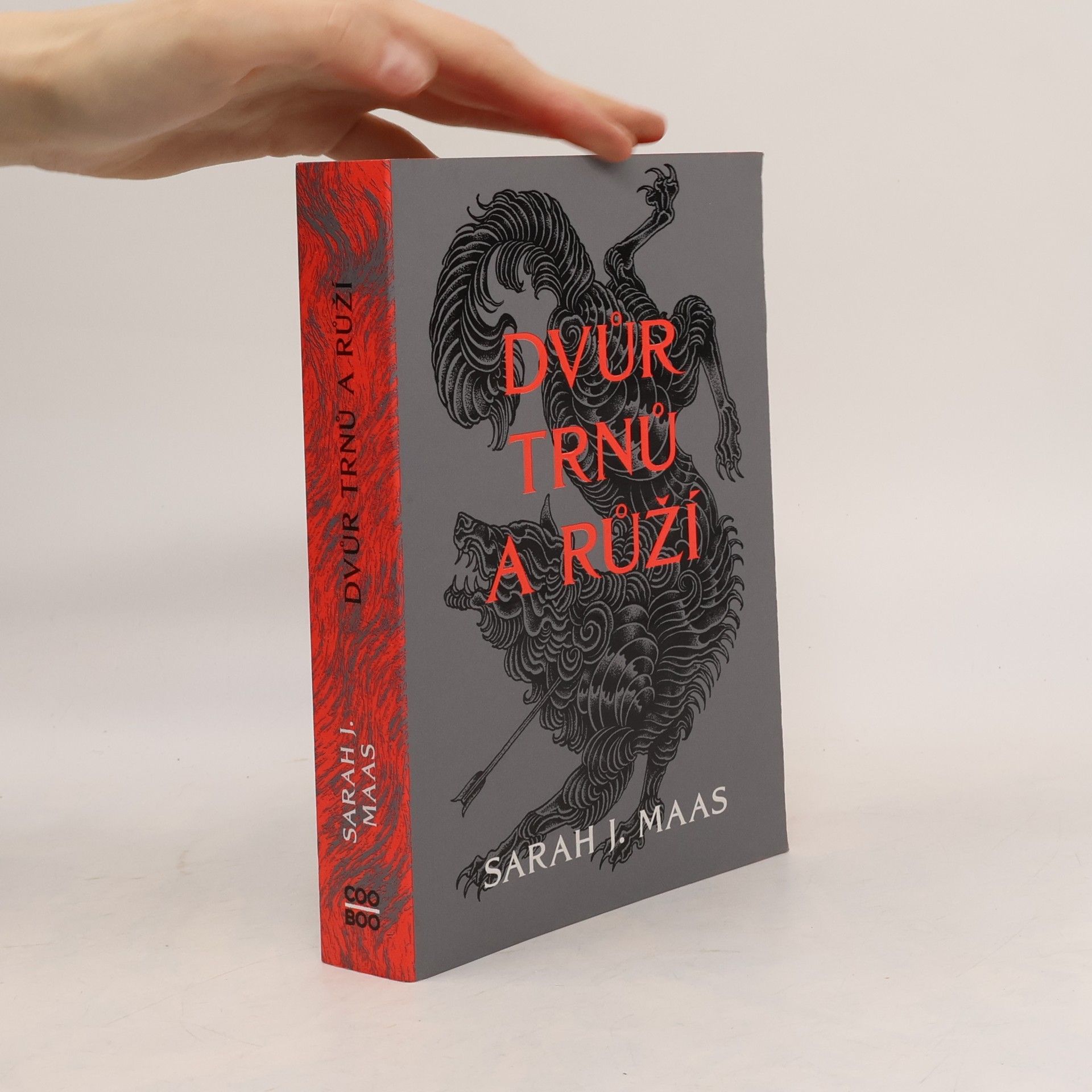 Dvůr trnů a růží