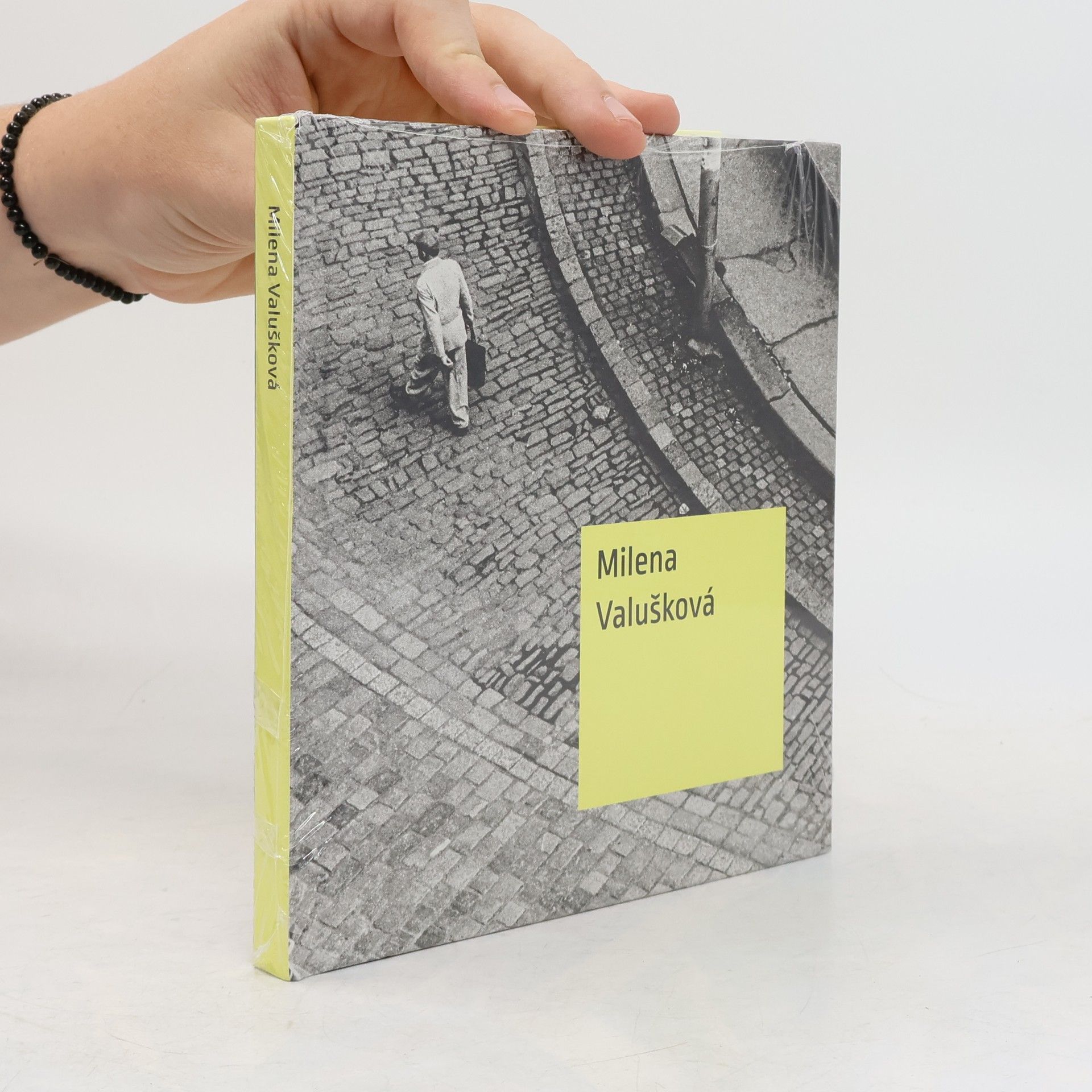 Autores varios Milena Valušková