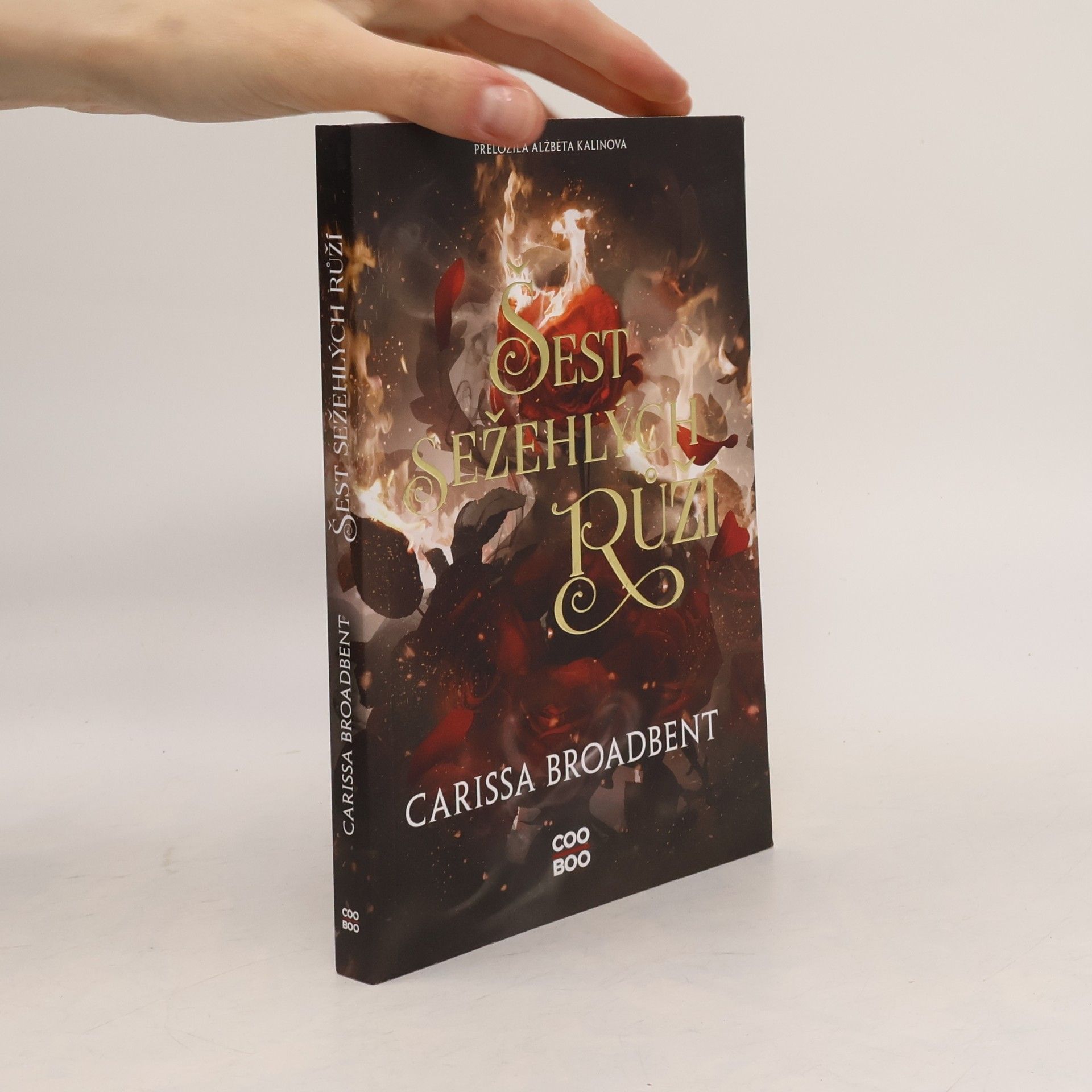 Carissa Broadbent Šest sežehlých růží