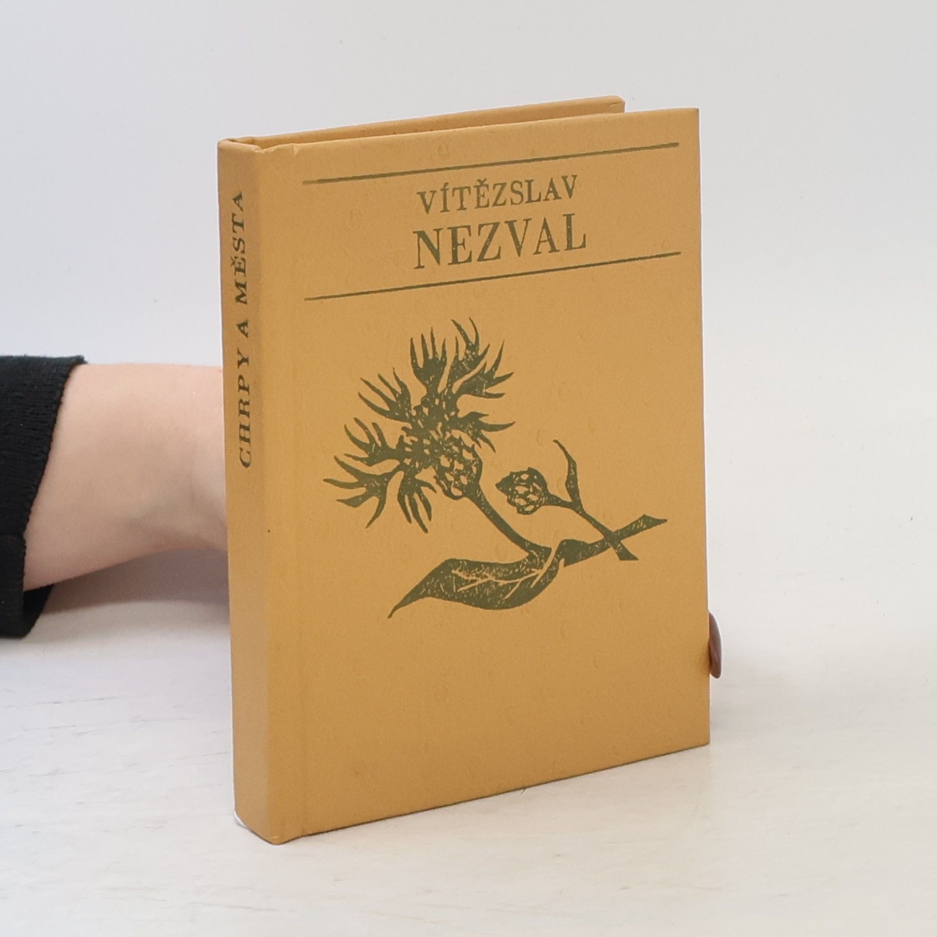Vítězslav Nezval Chrpy a města