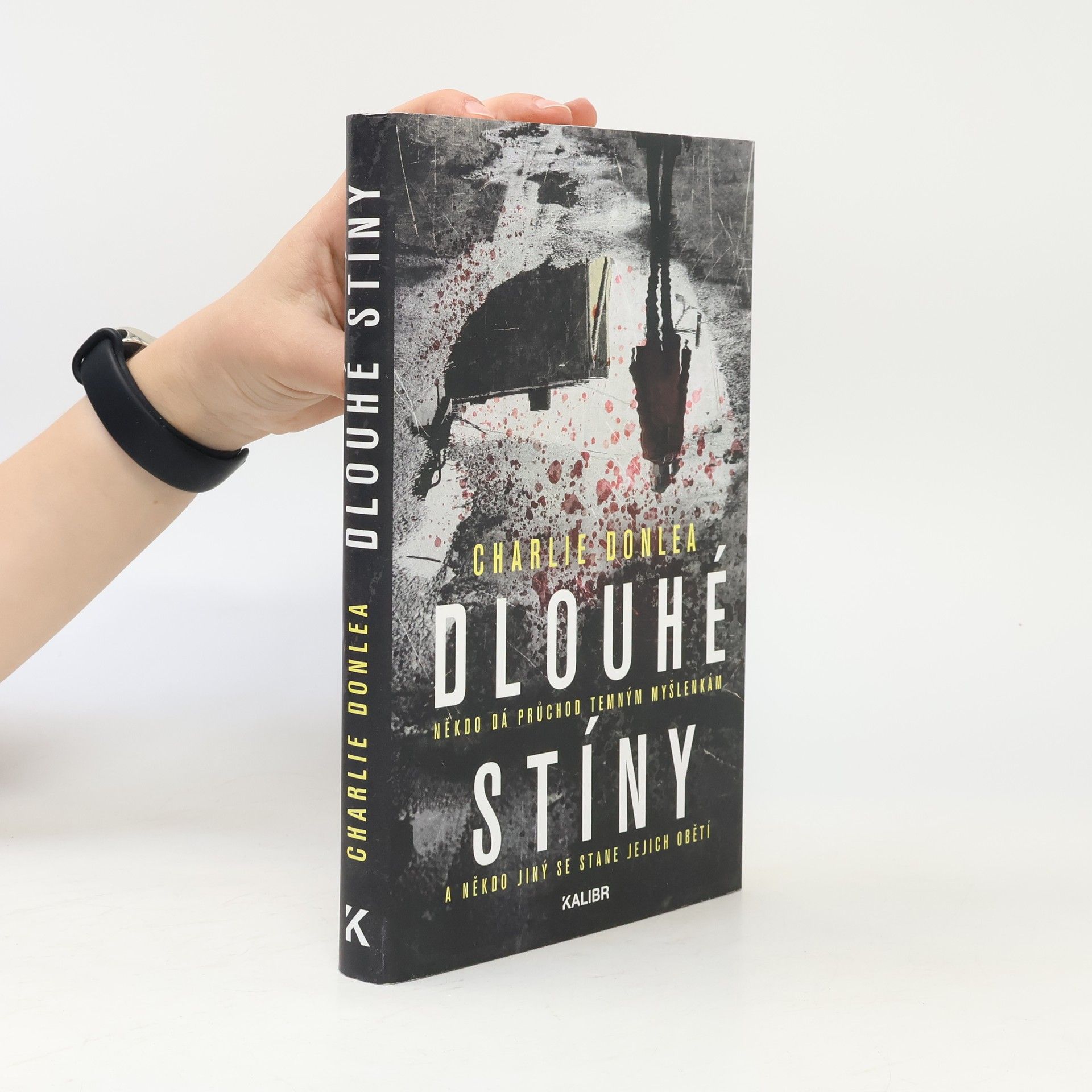 Charlie Donlea Dlouhé stíny