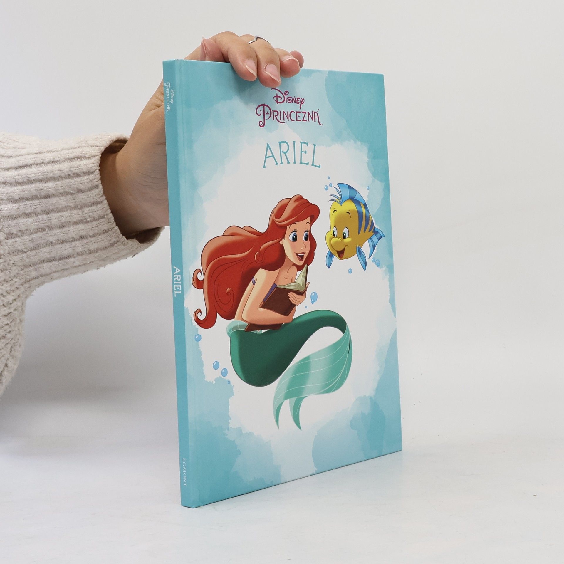 Autorenkollektiv Princezná Ariel
