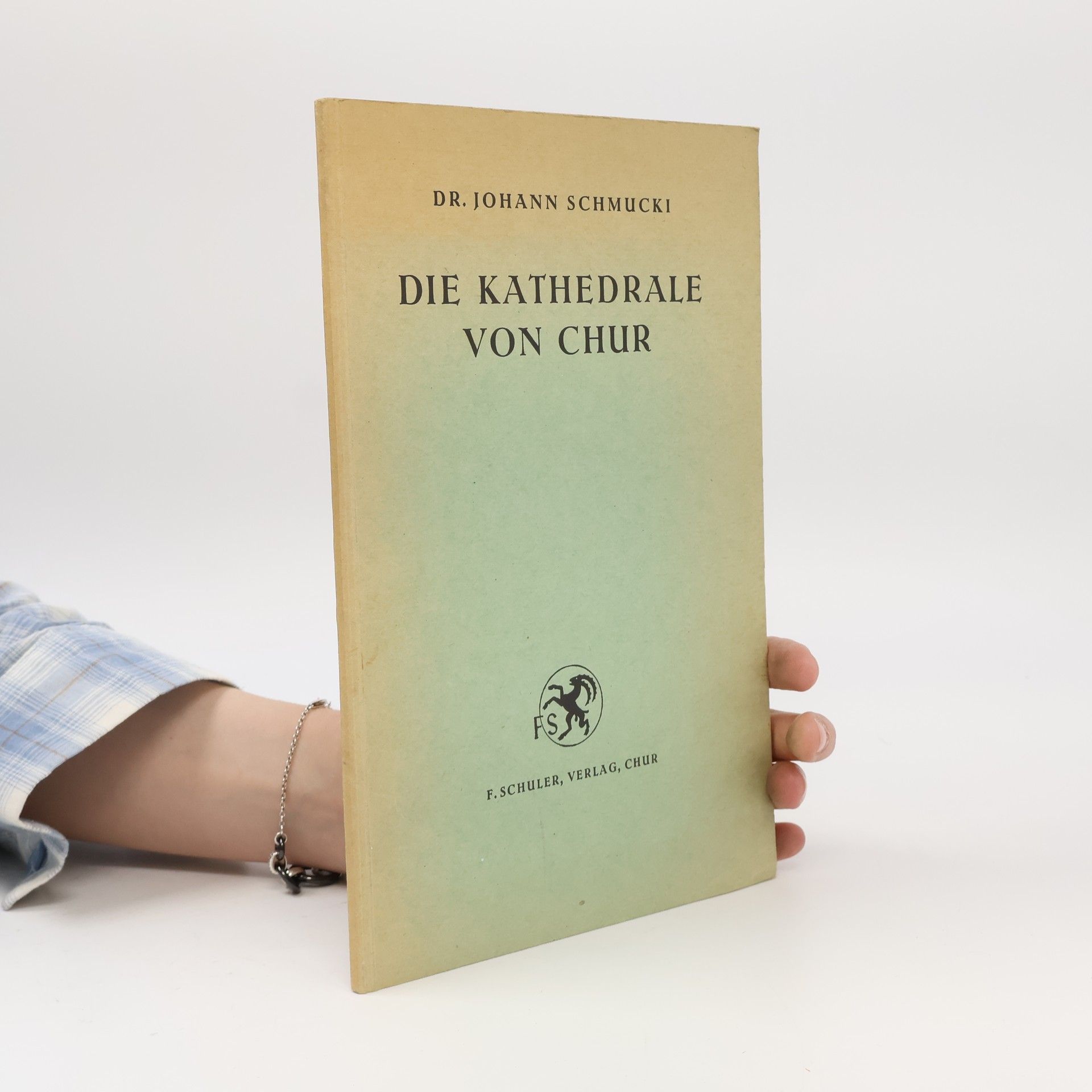 Johann Schmucki Die Kathedrale von Chur