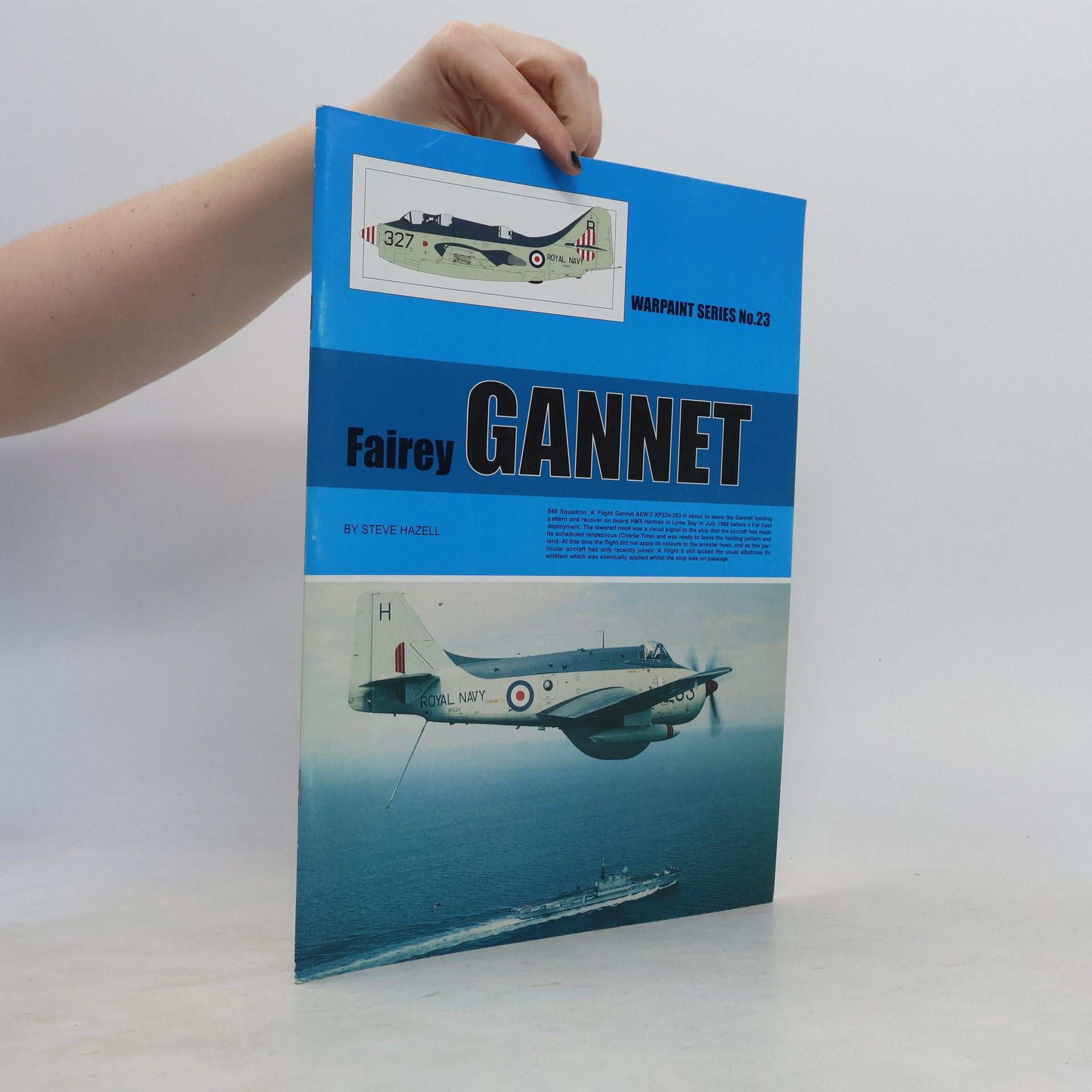 Steve Hazell Fairey Gannet