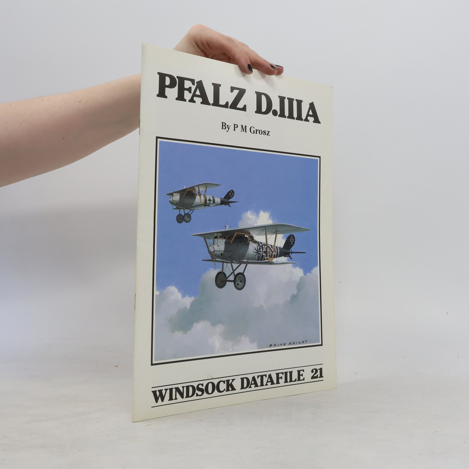 Peter Michael Grosz Windsock Datafile - 21: Pfalz D.IIIA