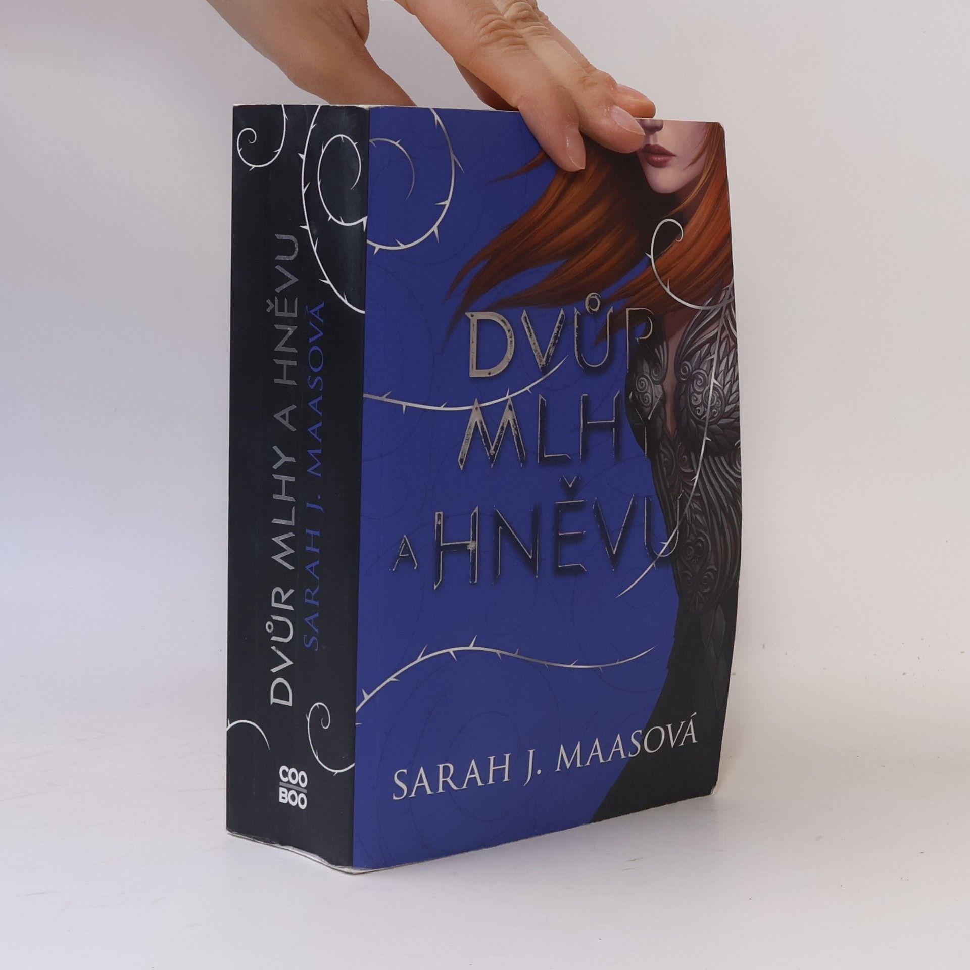 Sarah J. Maas Dvůr mlhy a hněvu