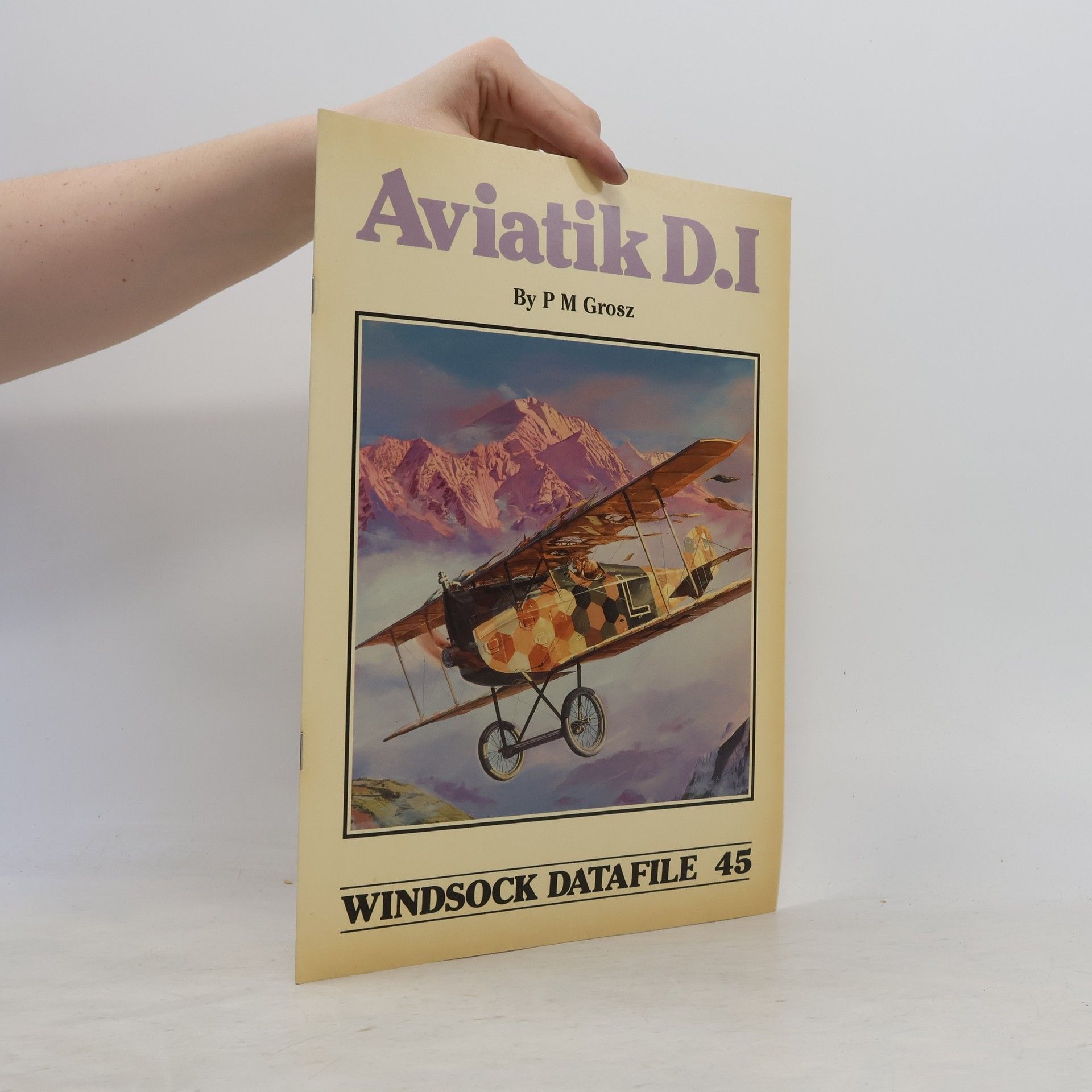 Peter Michael Grosz Aviatik D.I.
