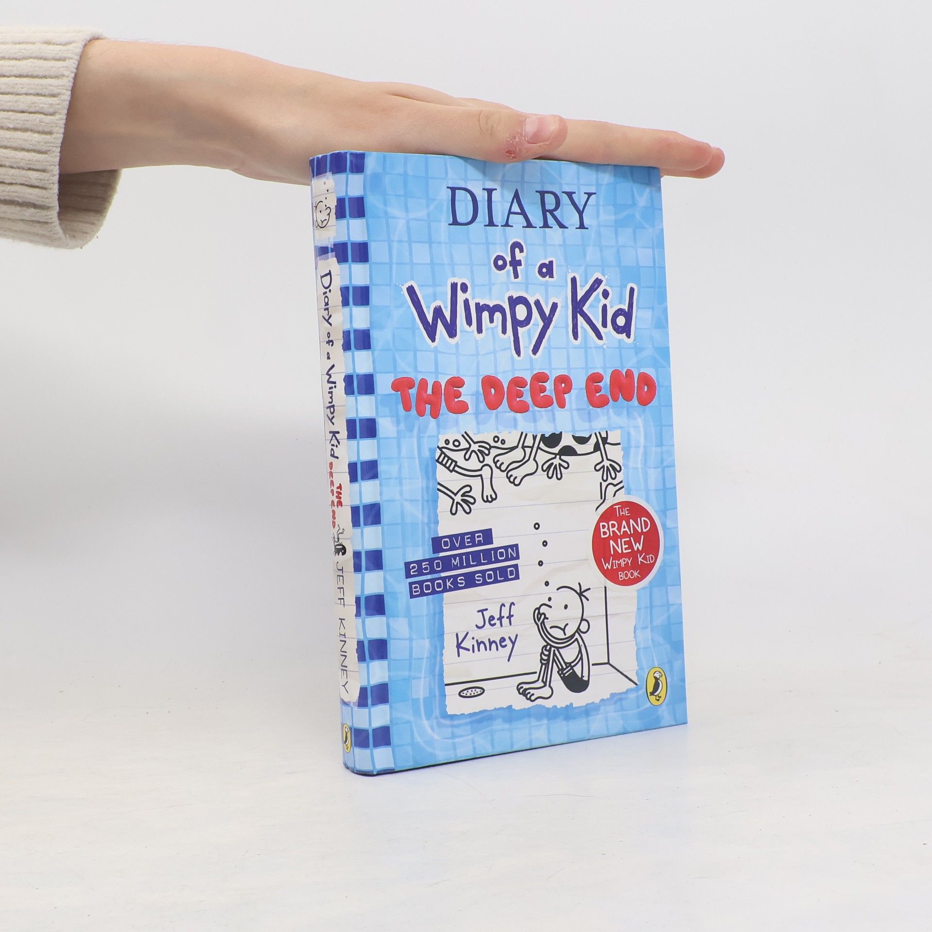 Jeff Kinney Diary of a Wimpy Kid. The Deep End