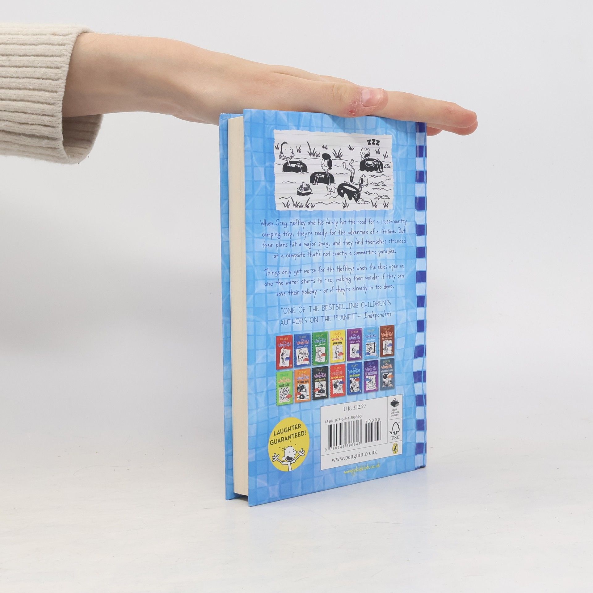 Jeff Kinney Diary of a Wimpy Kid. The Deep End