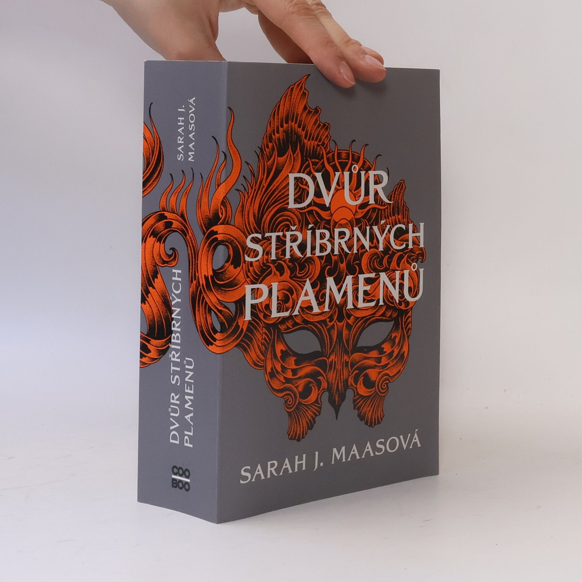 Sarah J. Maasová Dvůr stříbrných plamenů