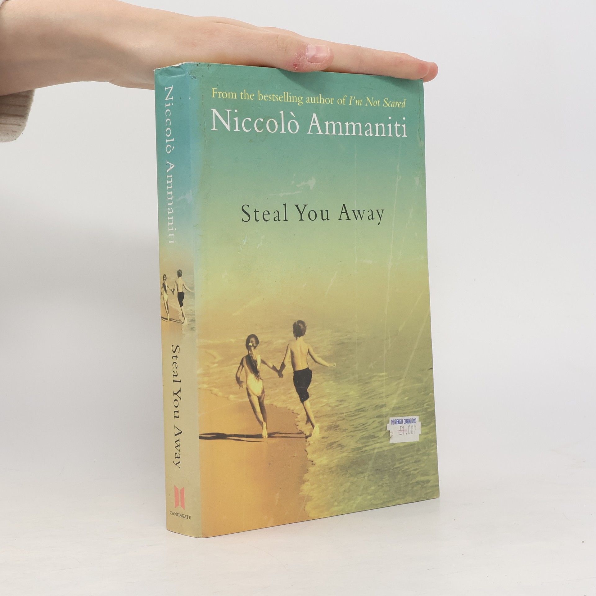 Niccolò Ammaniti Steal You Away
