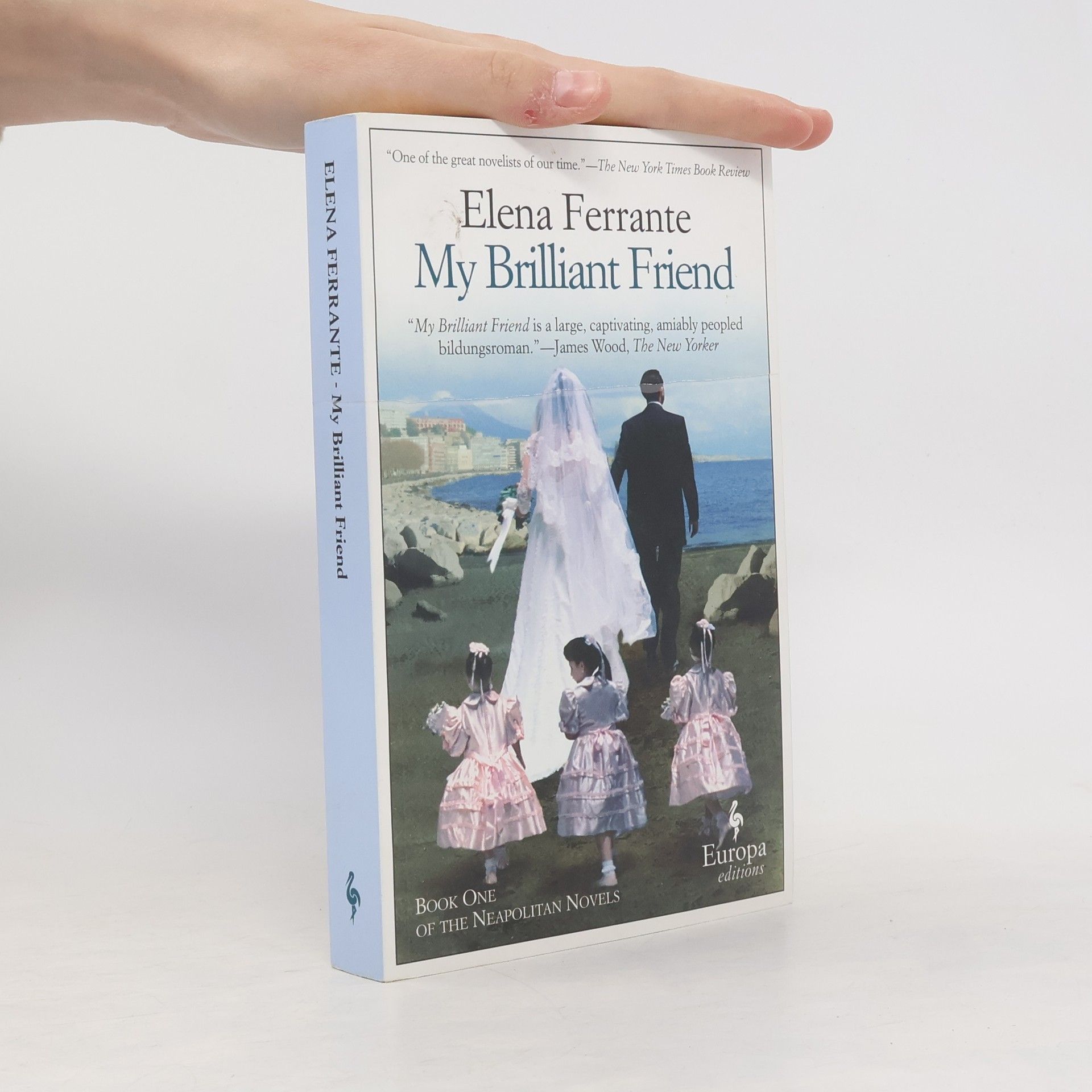 Elena Ferrante My Brilliant Friend