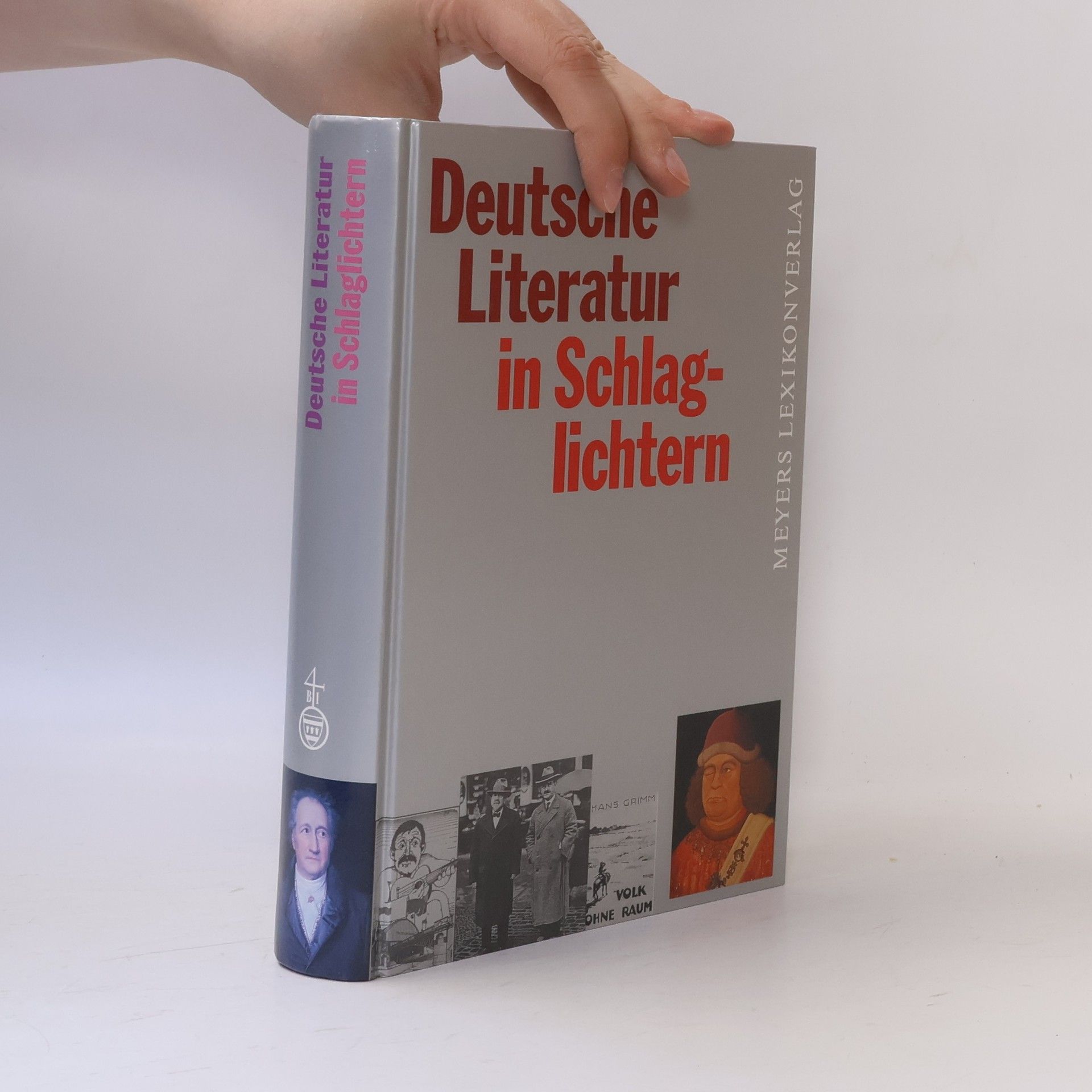 Bernd Balzer Deutsche Literatur in Schlaglichtern