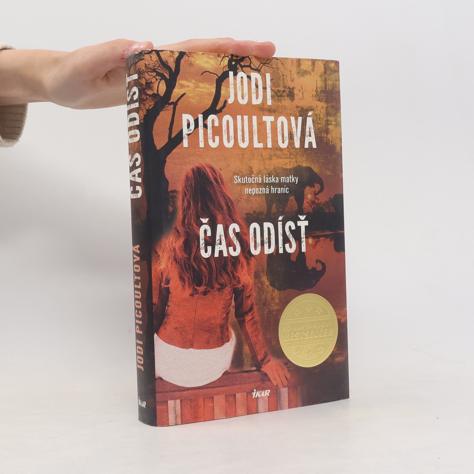 Jodi Picoult Čas odísť