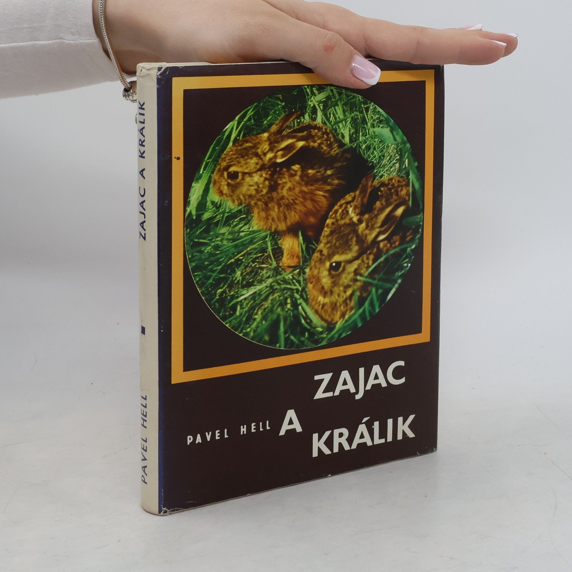 Pavol Hell Zajac a králik