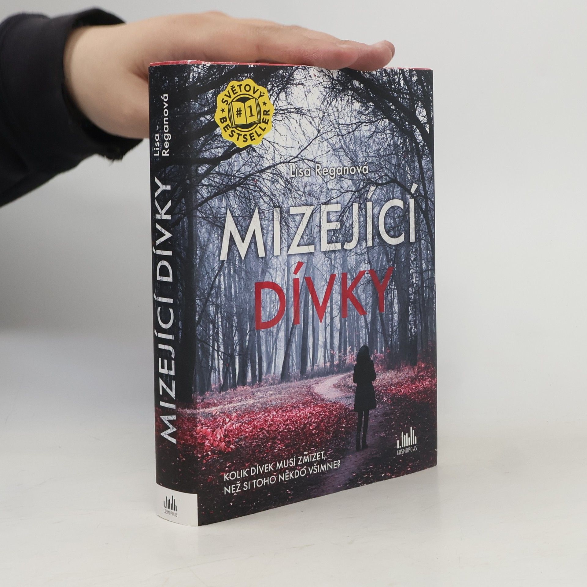 Lisa Regan Mizející dívky