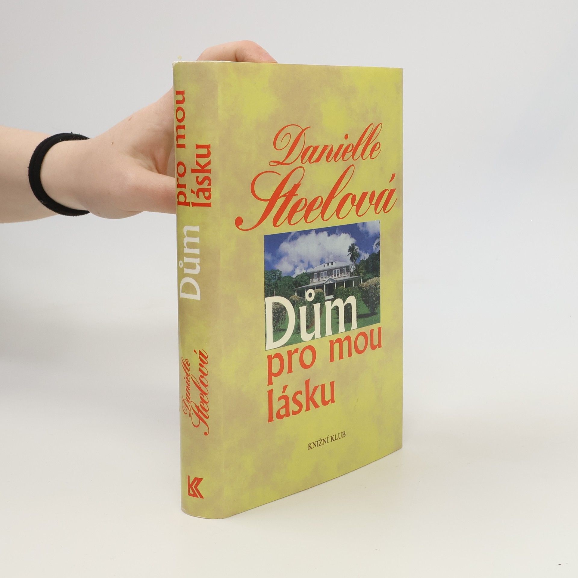 Danielle Steel Dům pro mou lásku