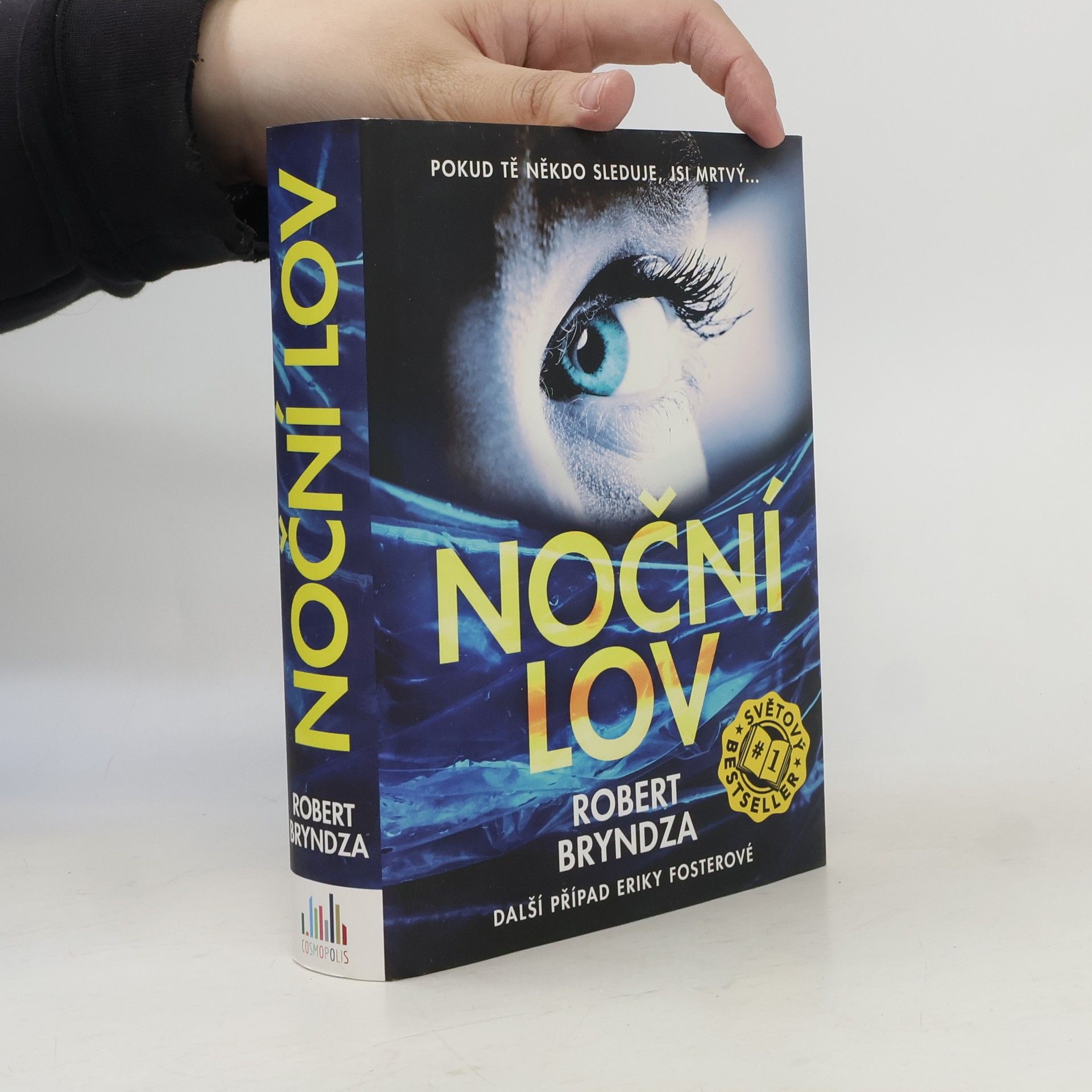 Robert Bryndza Noční lov
