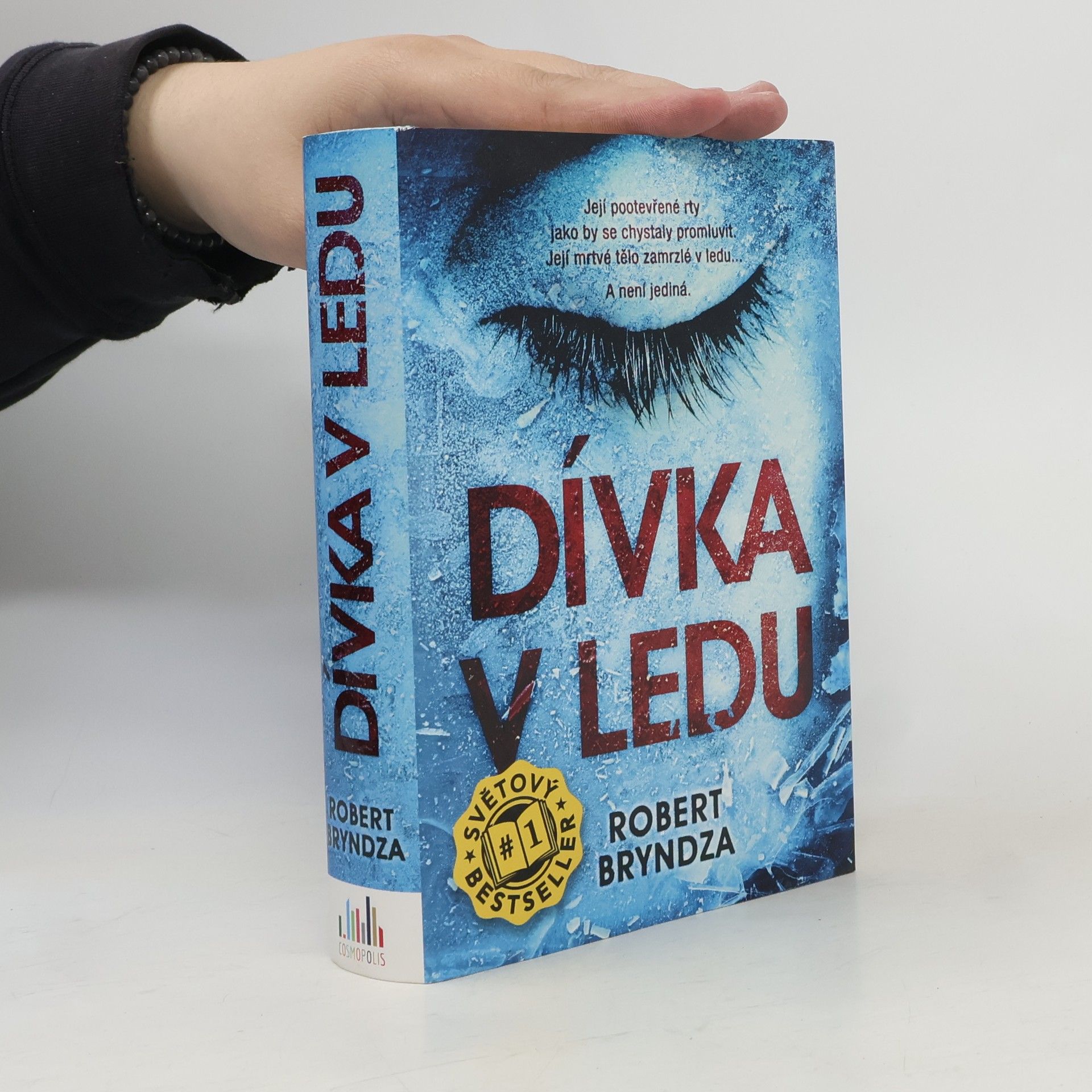 Robert Bryndza Dívka v ledu