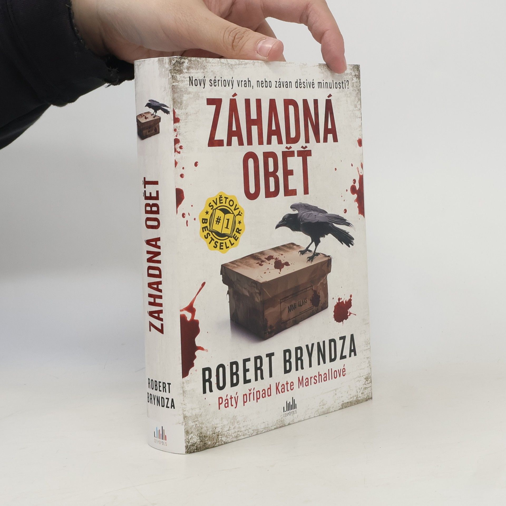 Robert Bryndza Záhadná oběť