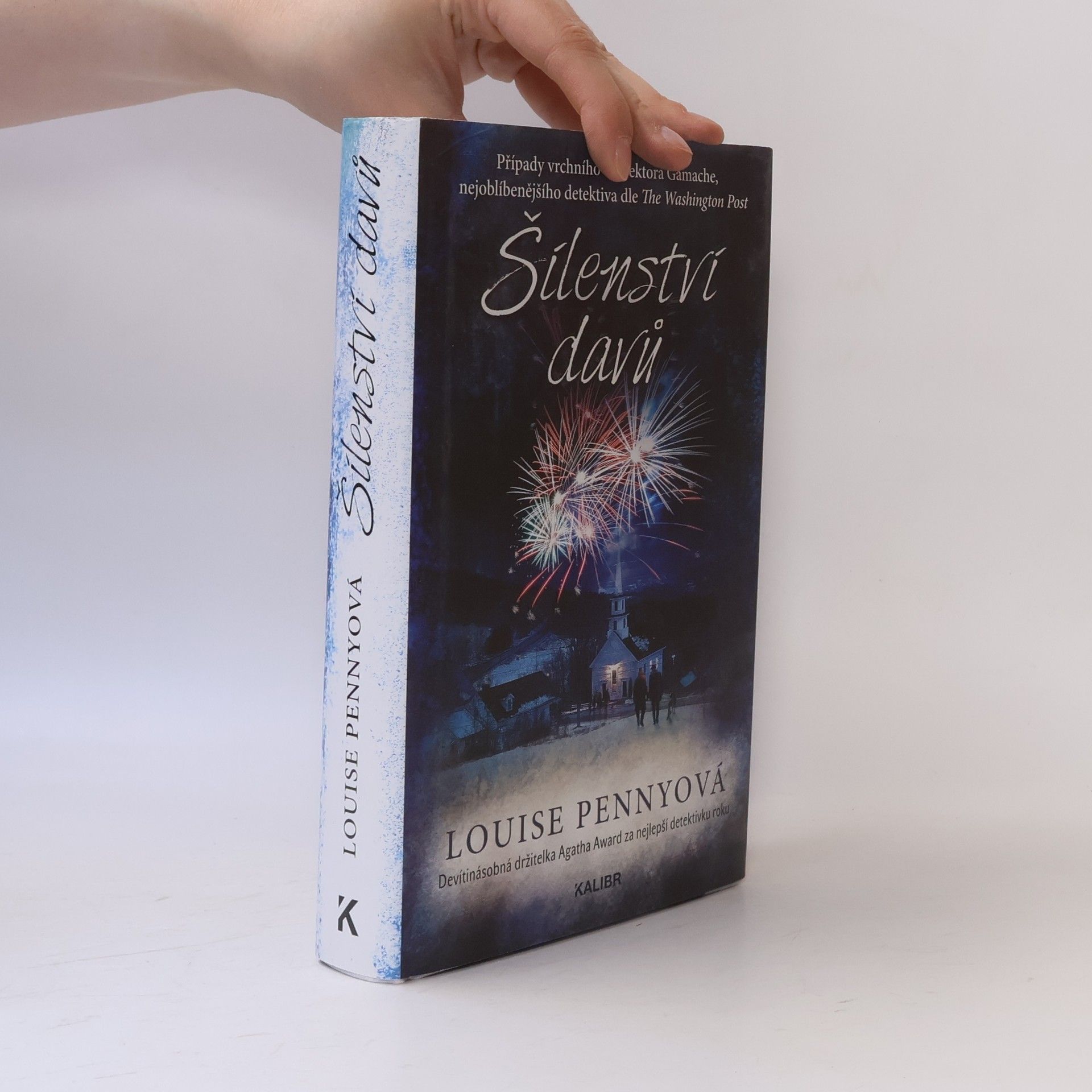Louise Penny Šílenství davů