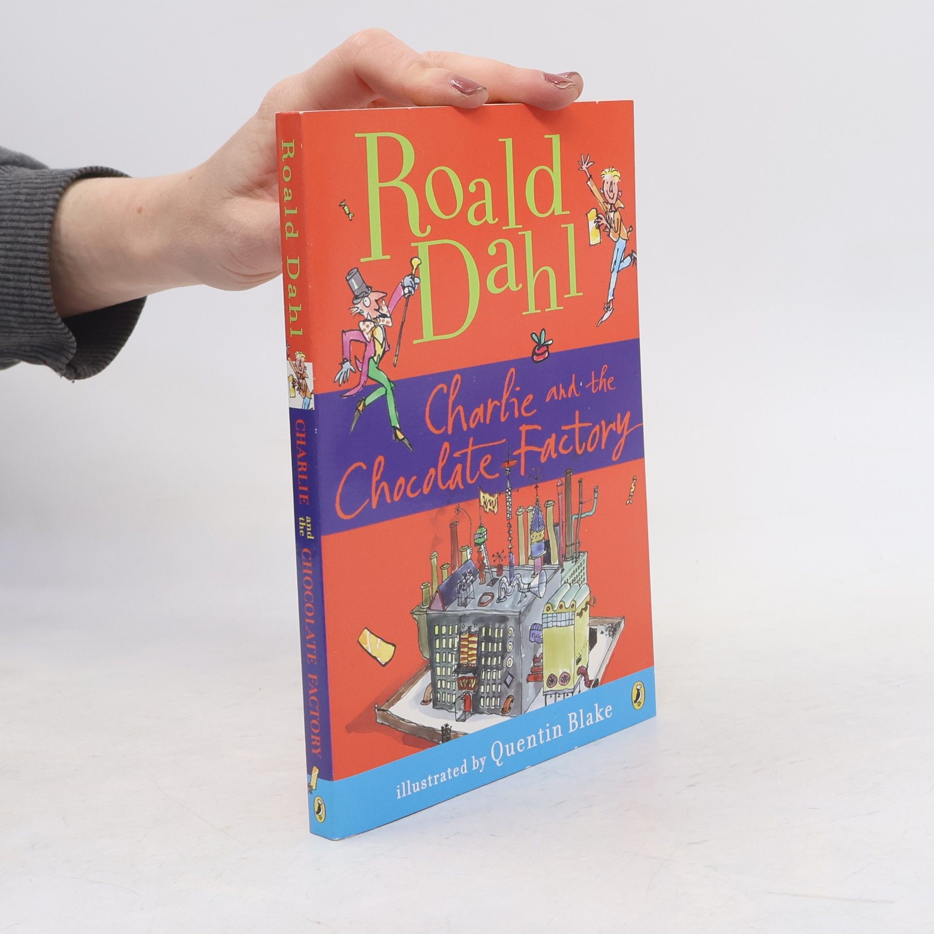 Roald Dahl Charlie and the Chocolate Factory