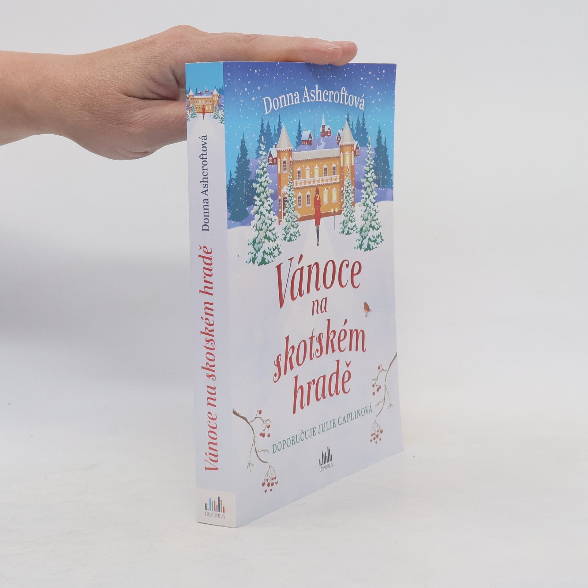 Donna Ashcroft Vánoce na skotském hradě