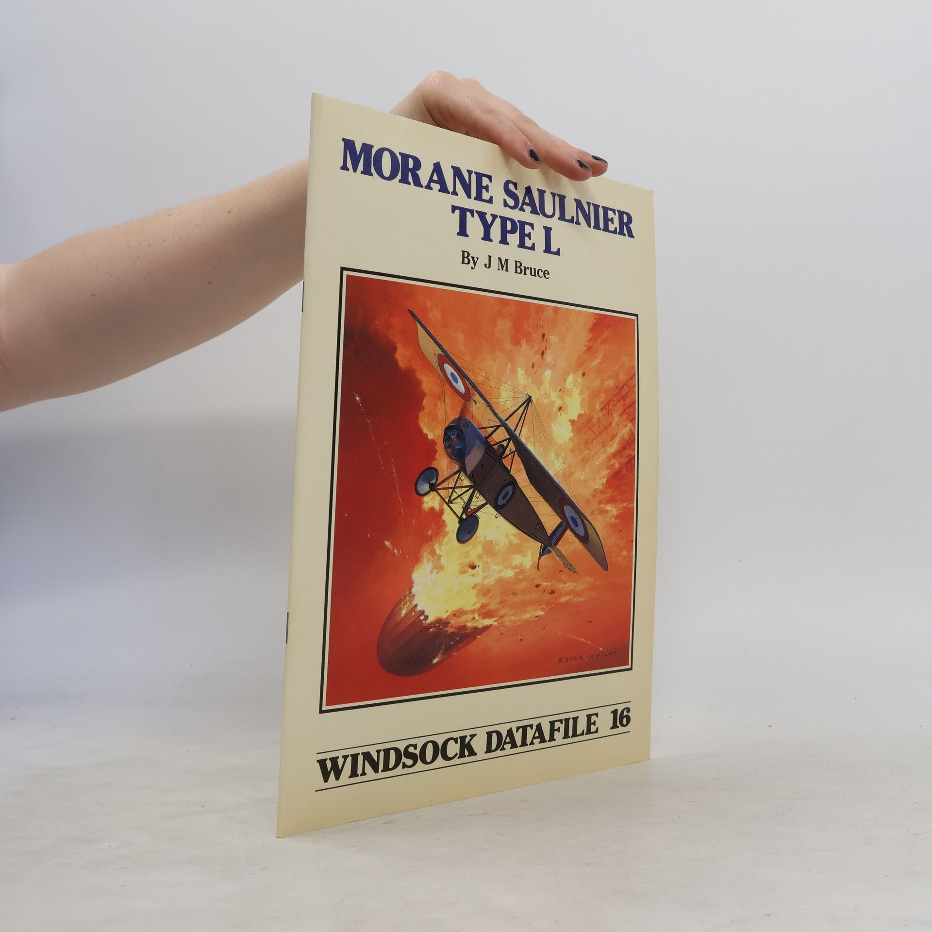 John McIntosh Bruce Windsock Datafile - 16: Morane Saulnier Type L